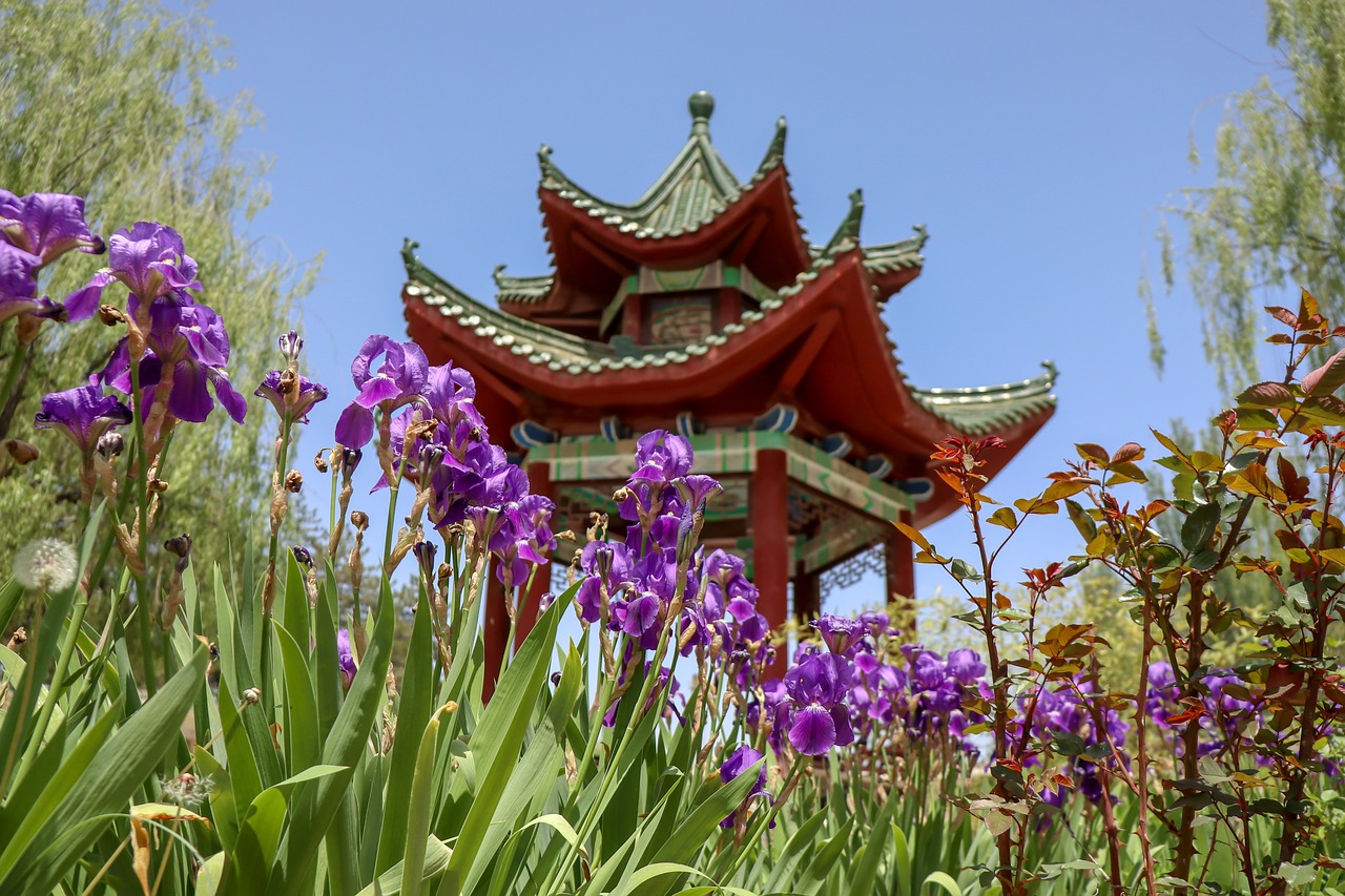 Растения в китайском саду