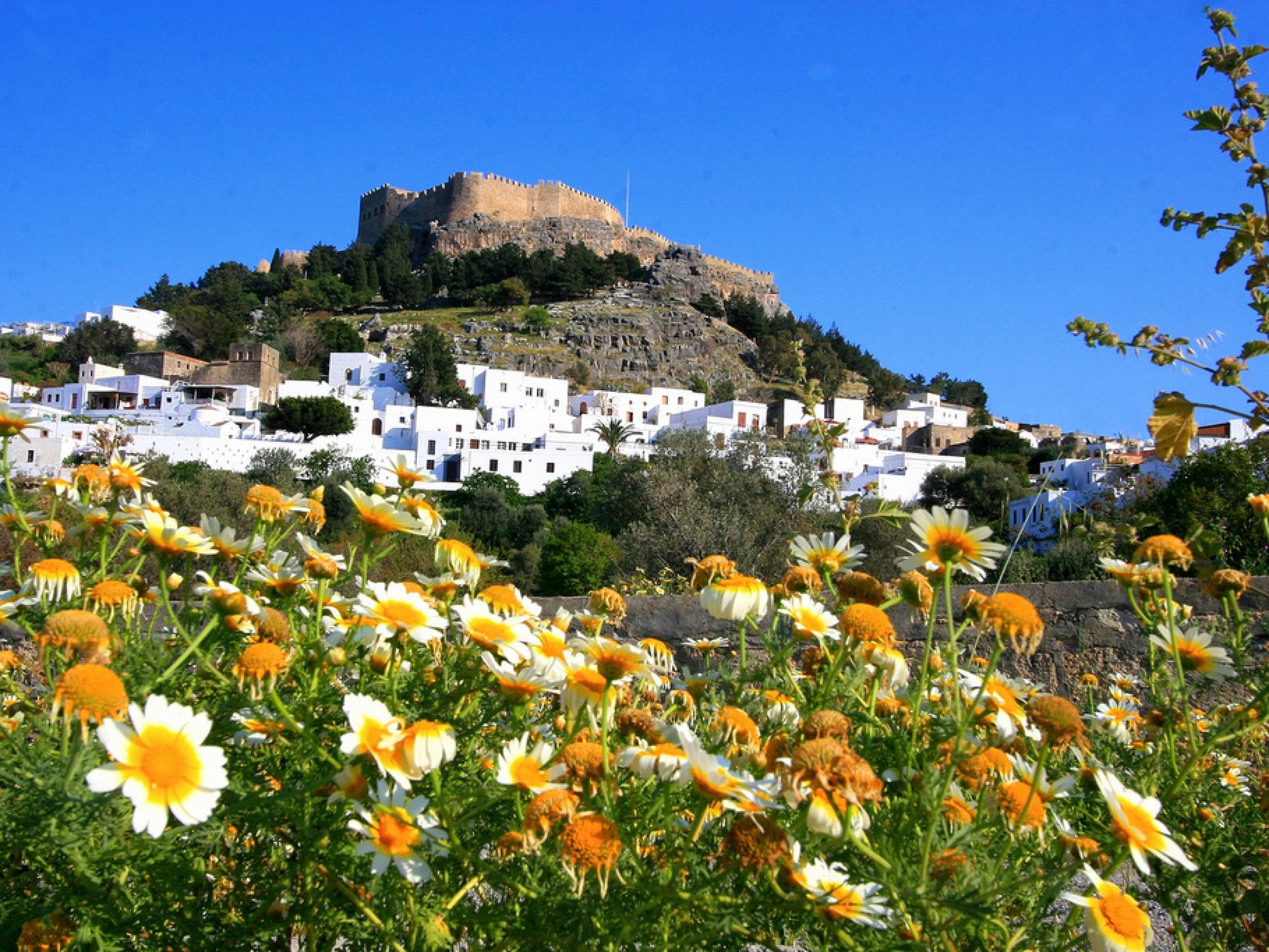 Крит остров Греция растительность