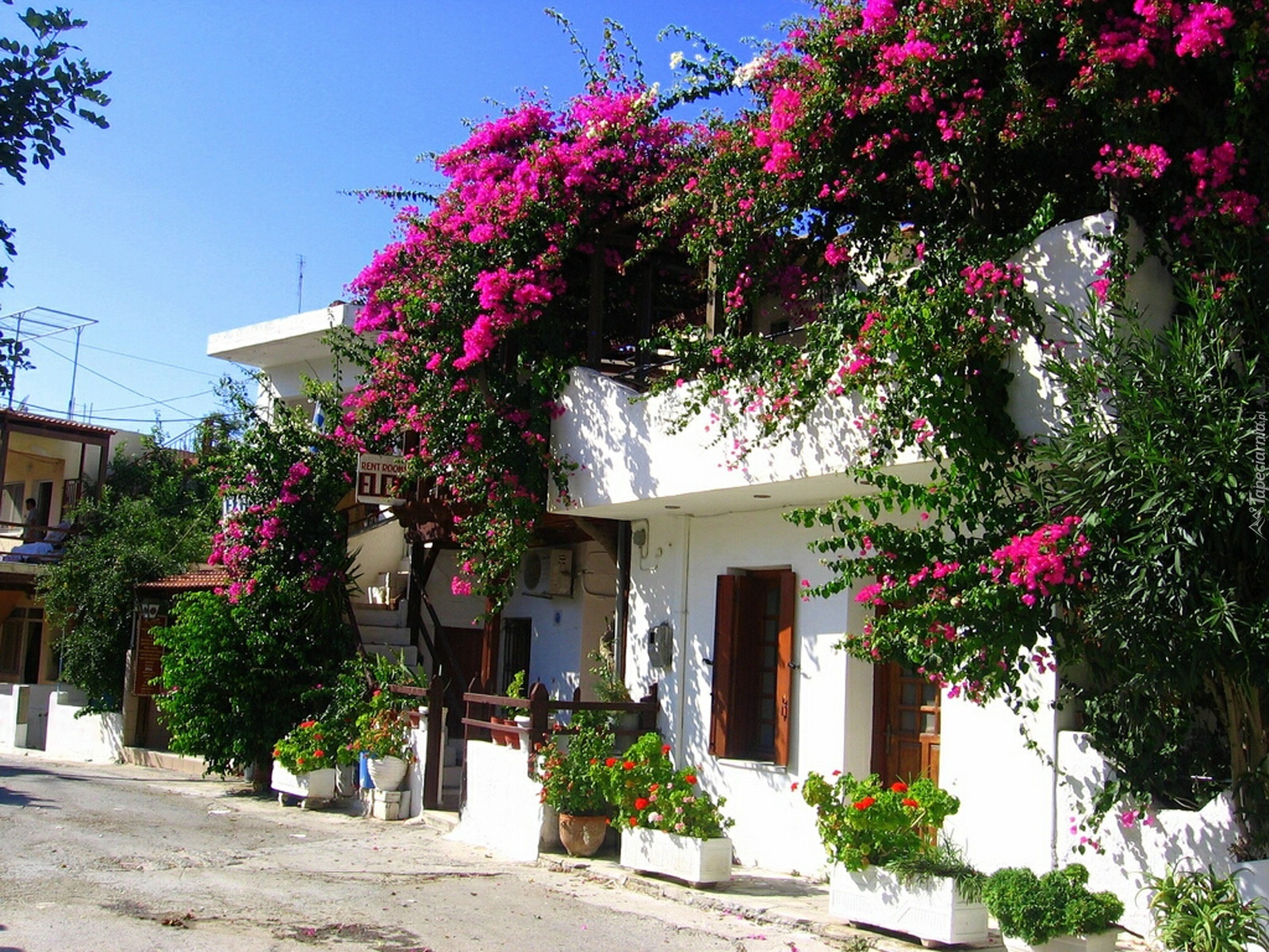 Греция улицы цветы