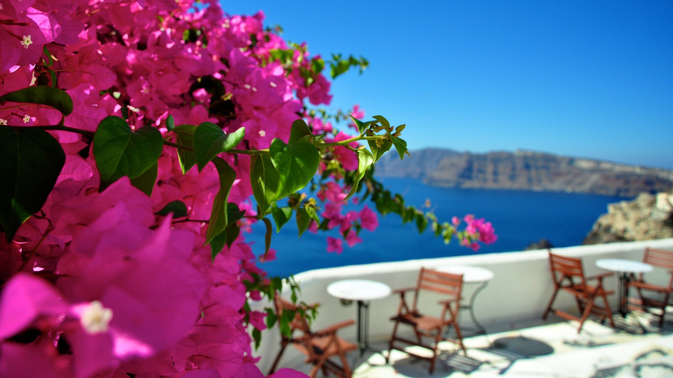 Греция розовые цветы