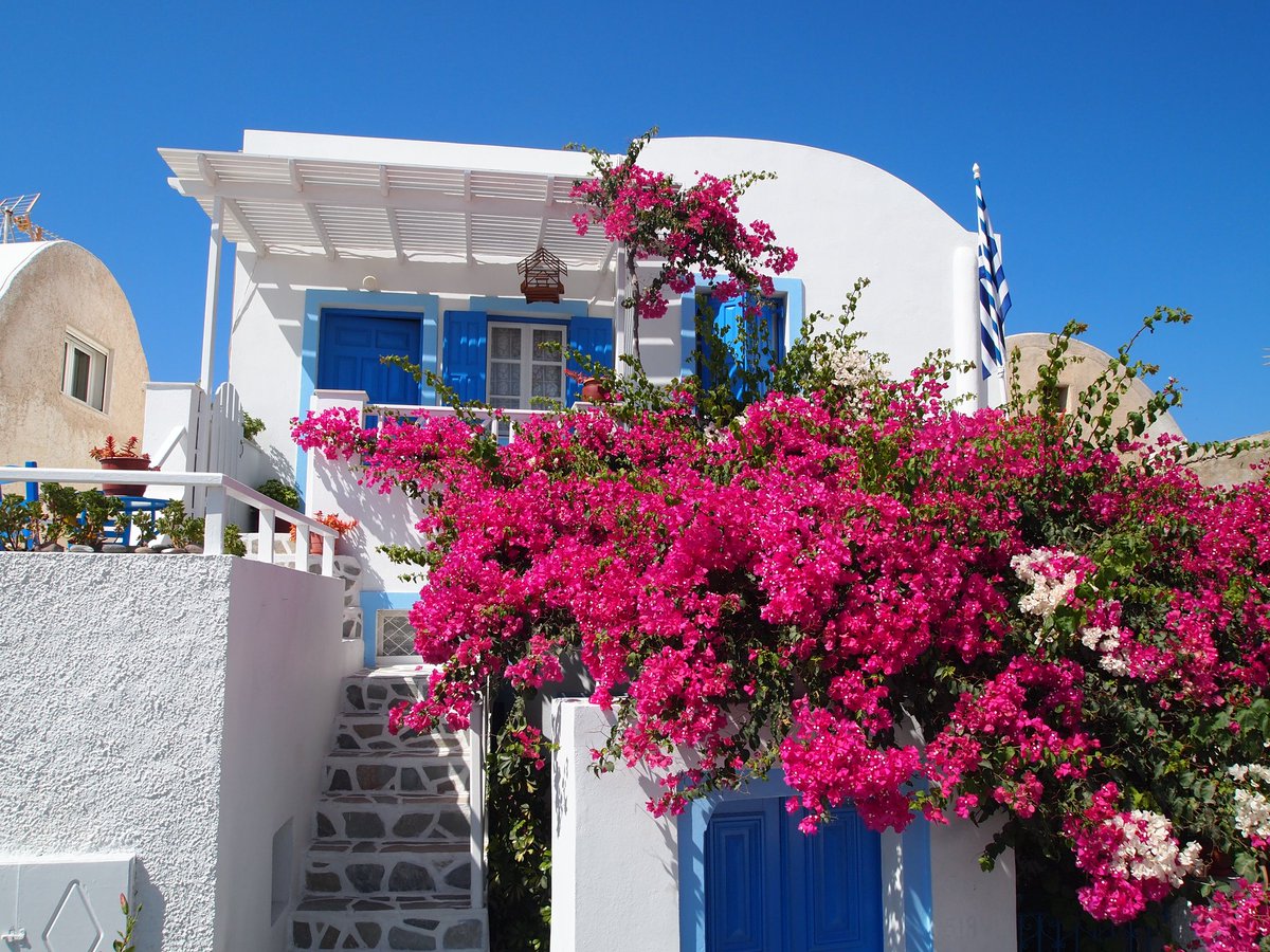 Греция цветы