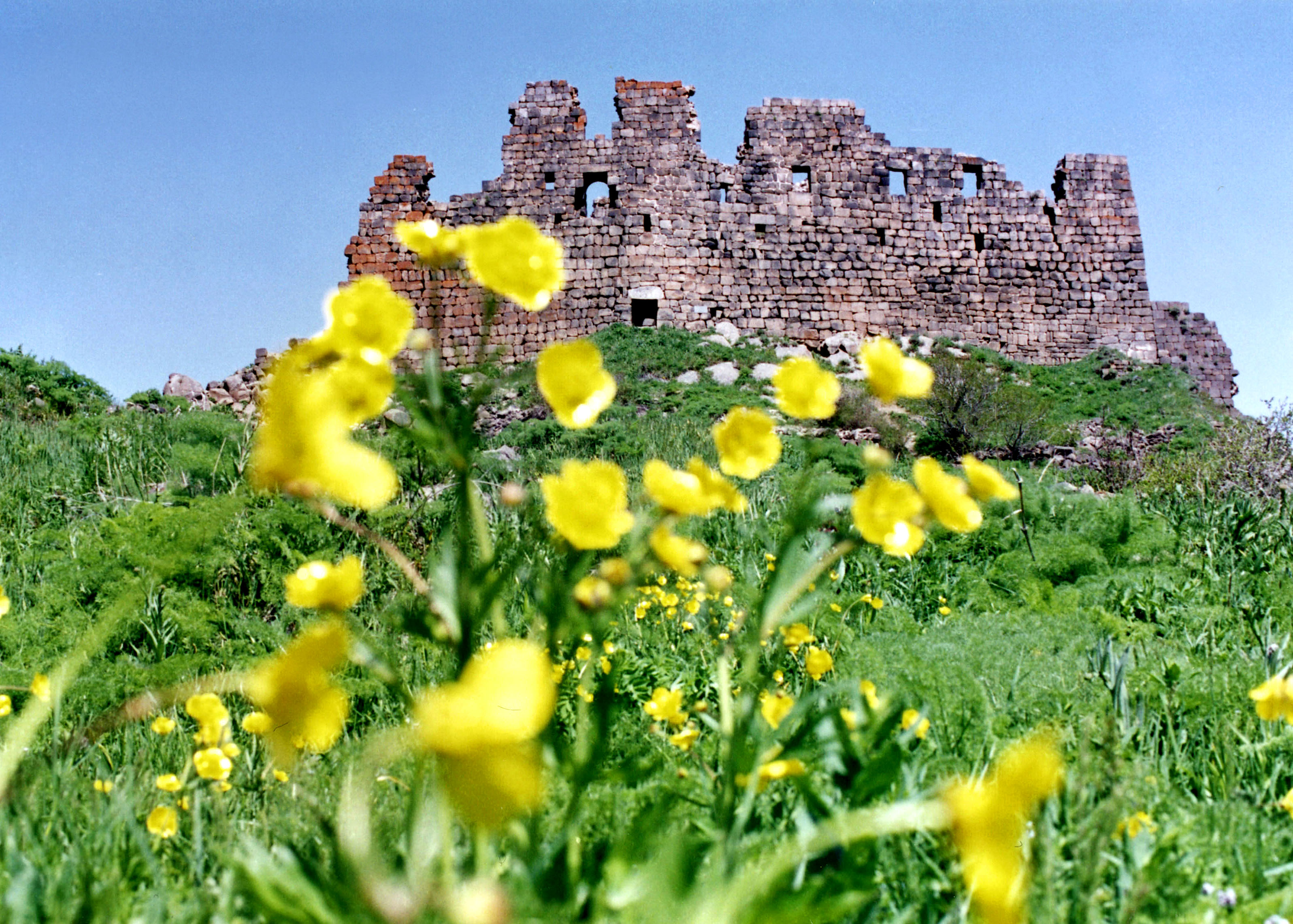 Весна Армении картинки gif