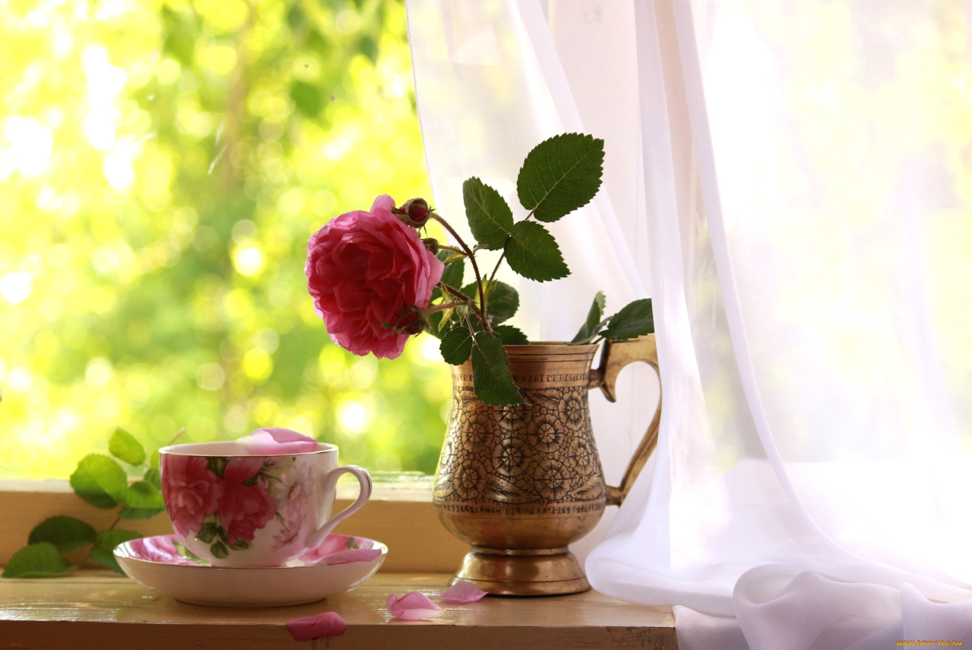 Окно чай цветы