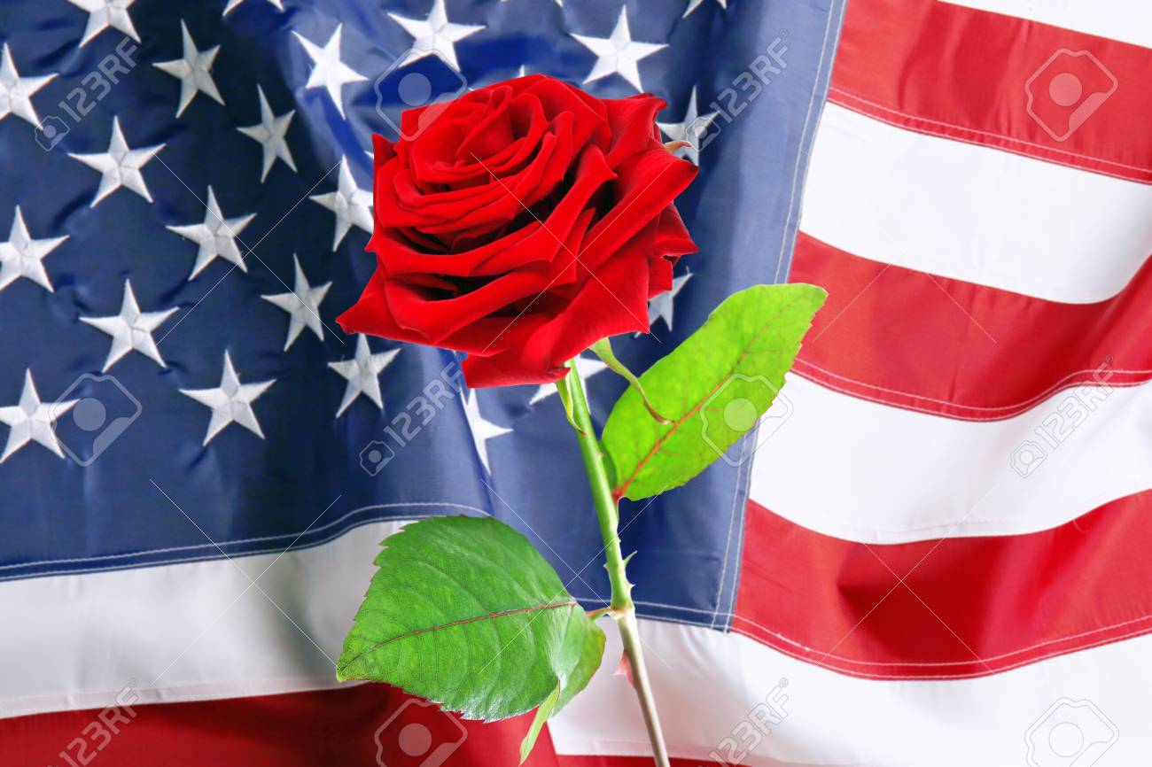 Роза символ Америки