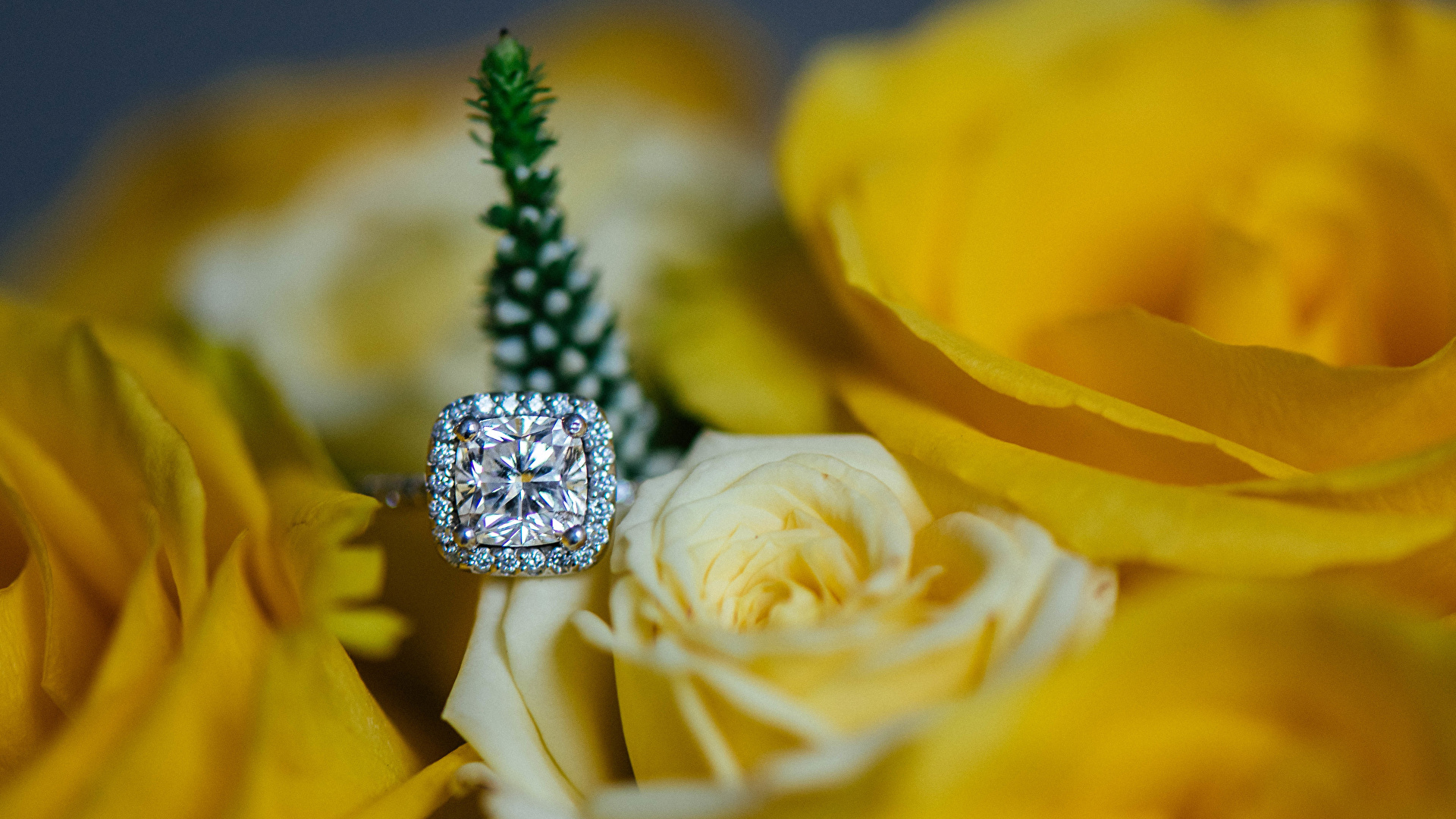 Красивые кольца цветы
