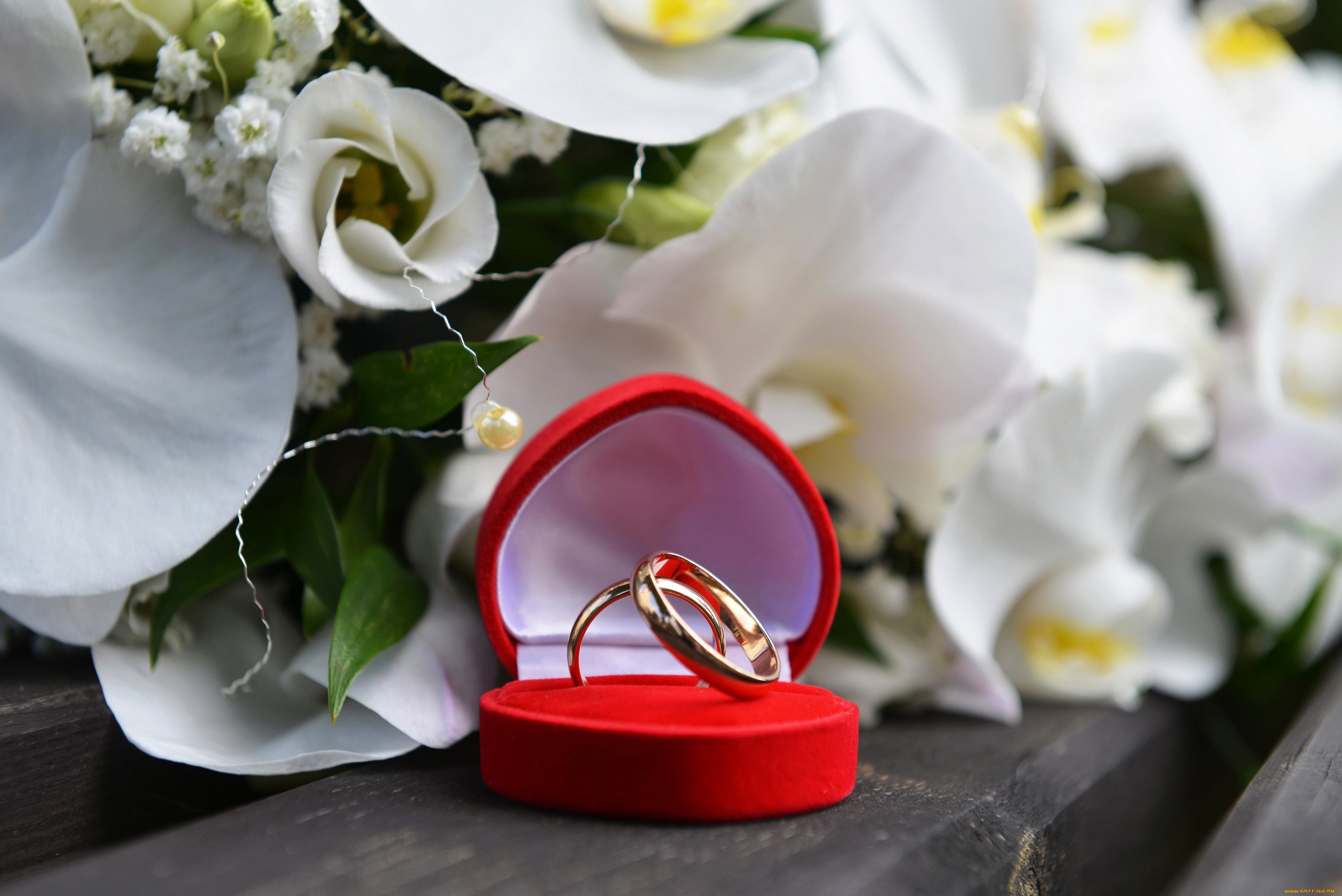 Розы и свадебные кольца