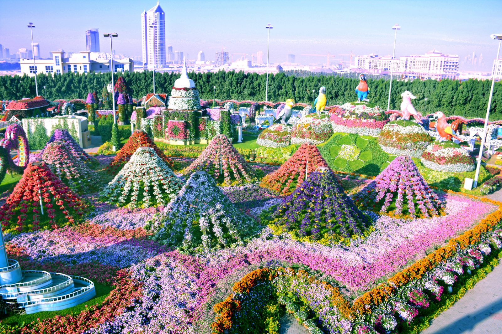 Абу Даби Парк Цветов