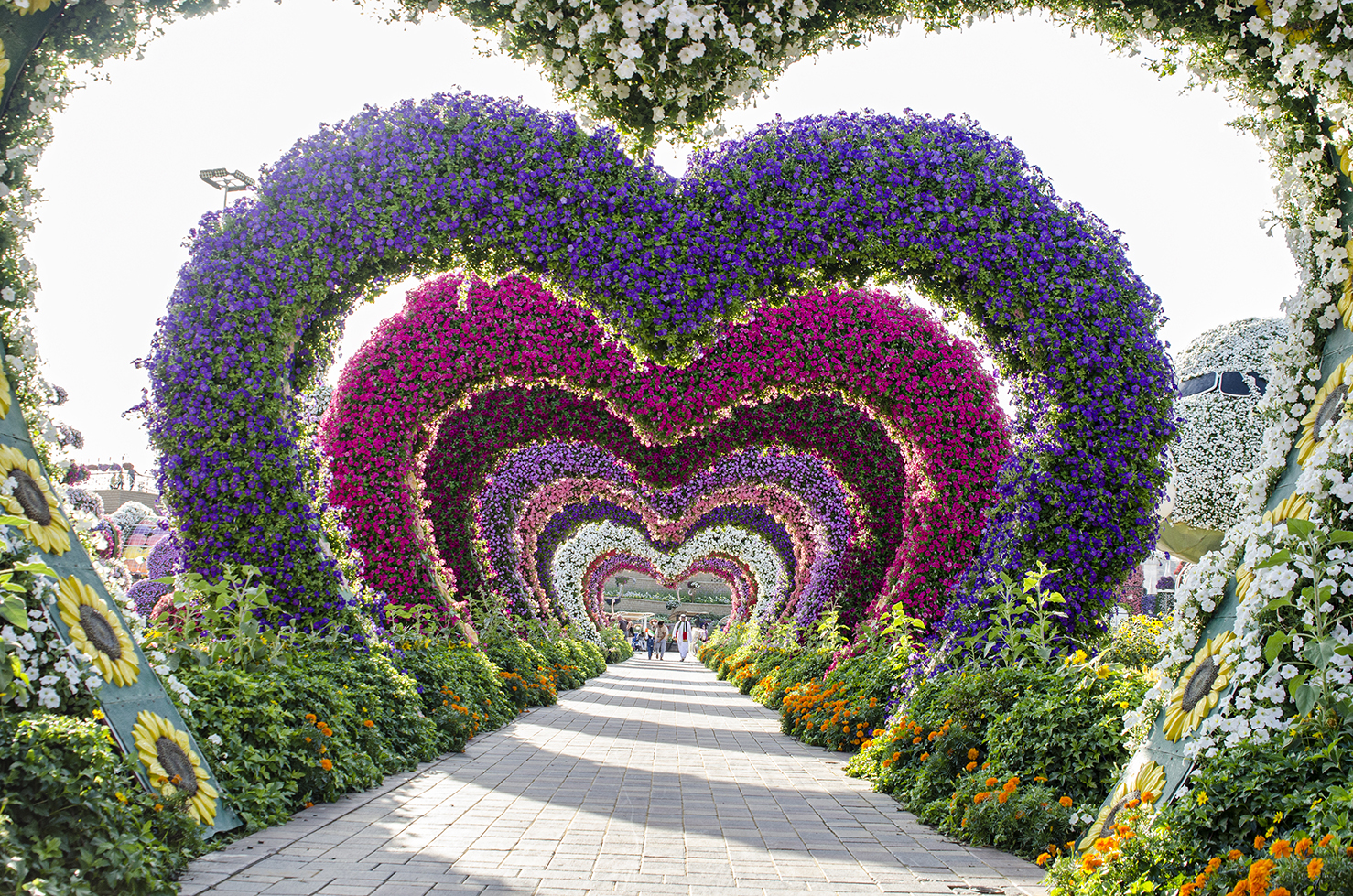 Замок парк цветов Дубай