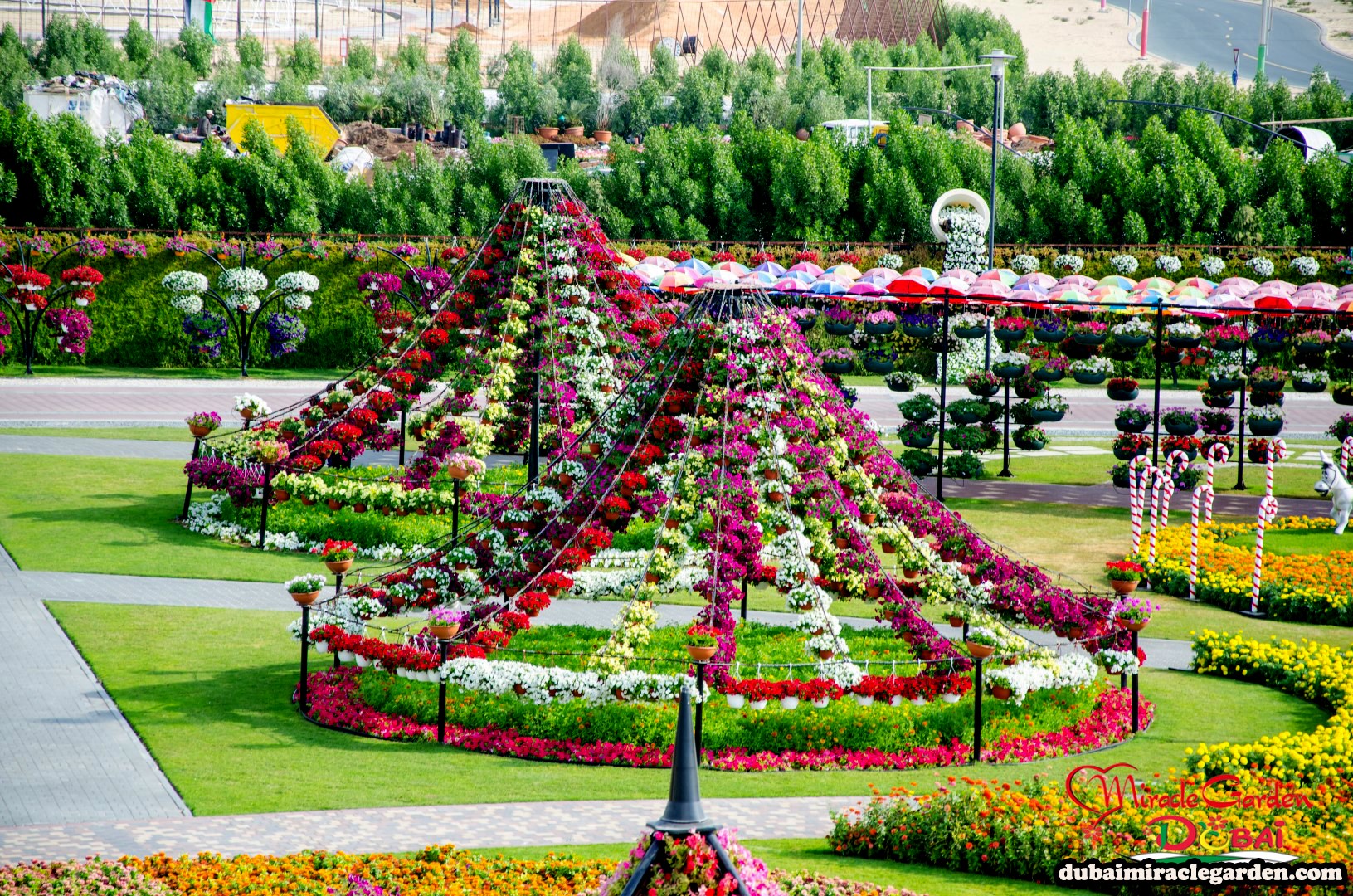 ОАЭ.Райский парк цветов.Miracle Garden-.