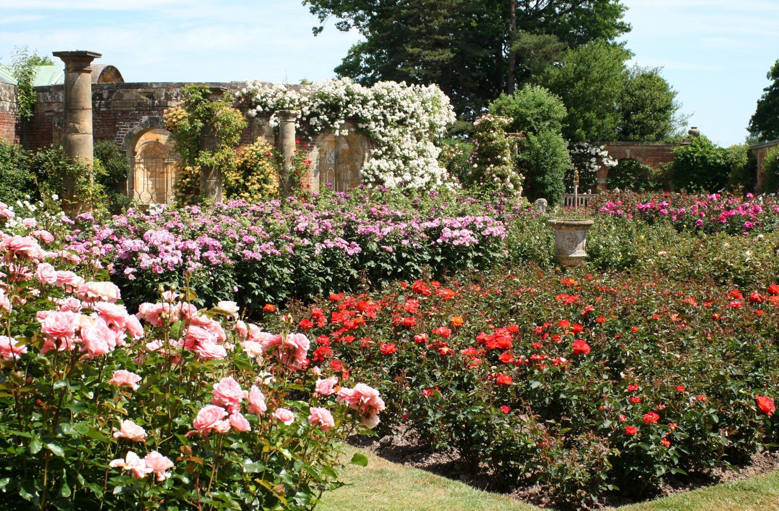 Сад роз королевы Мэри, Риджент парк