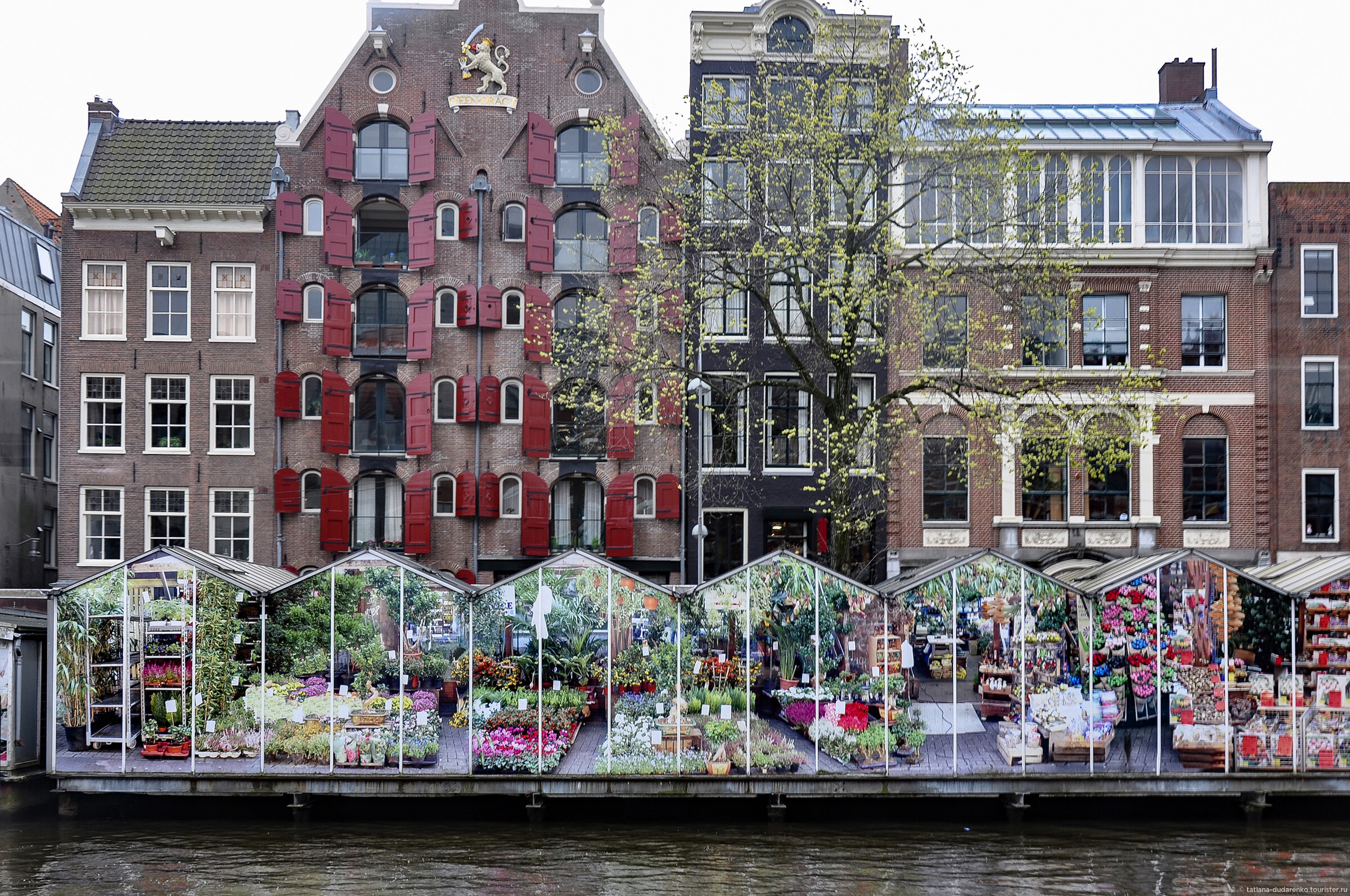 Плавучий цветочный рынок в Амстердаме
