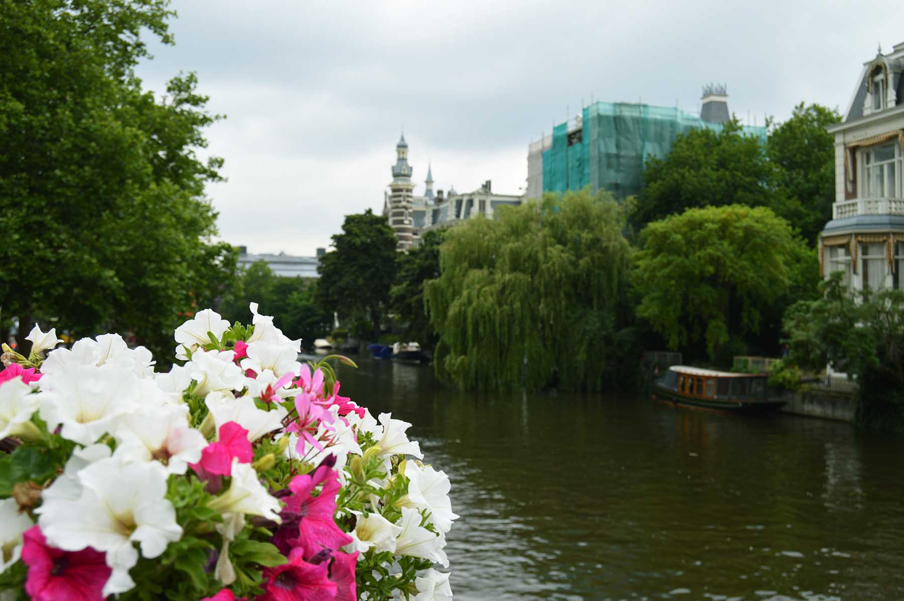 Амстердам столица цветов