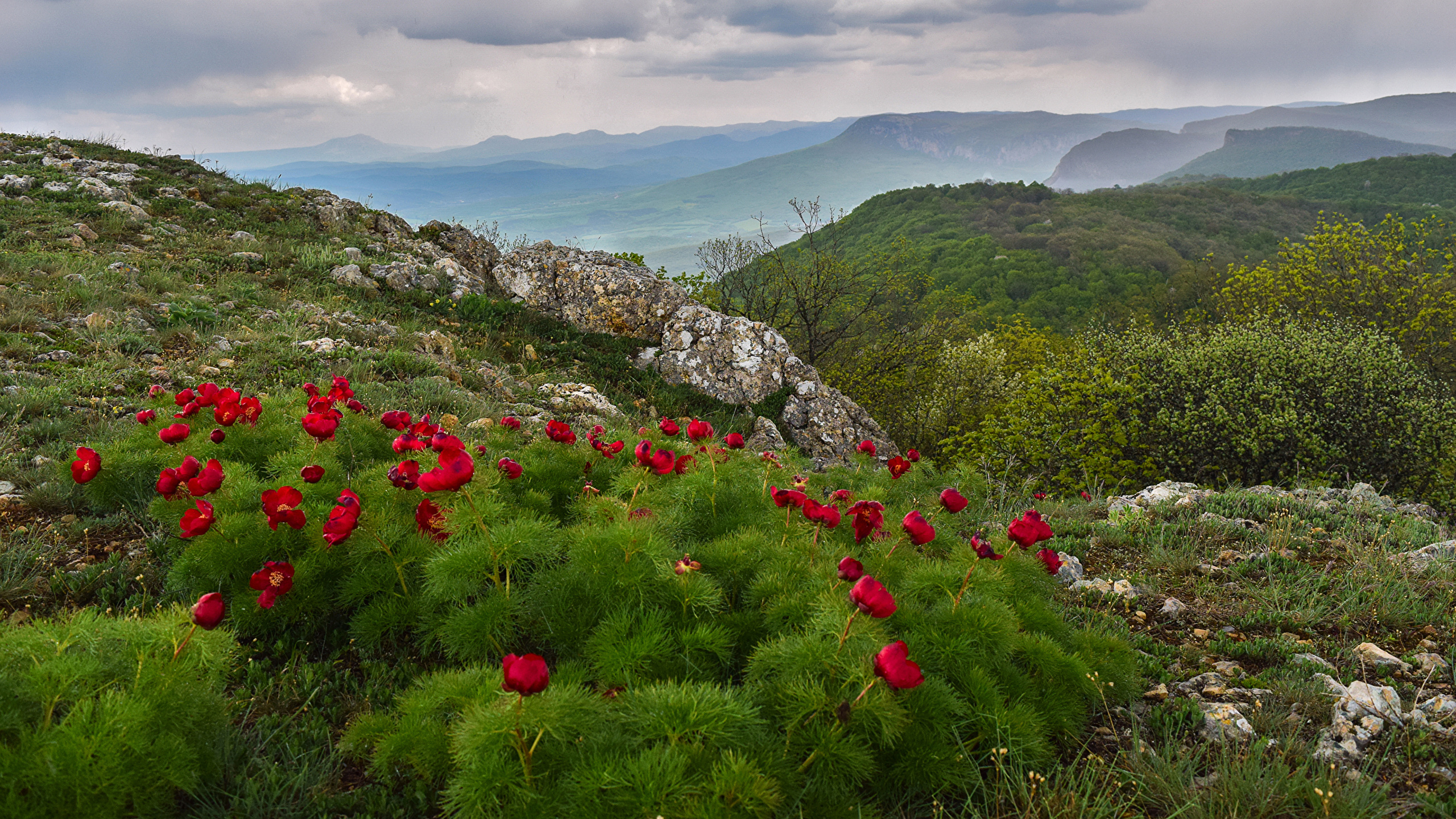 Долина роз Крым