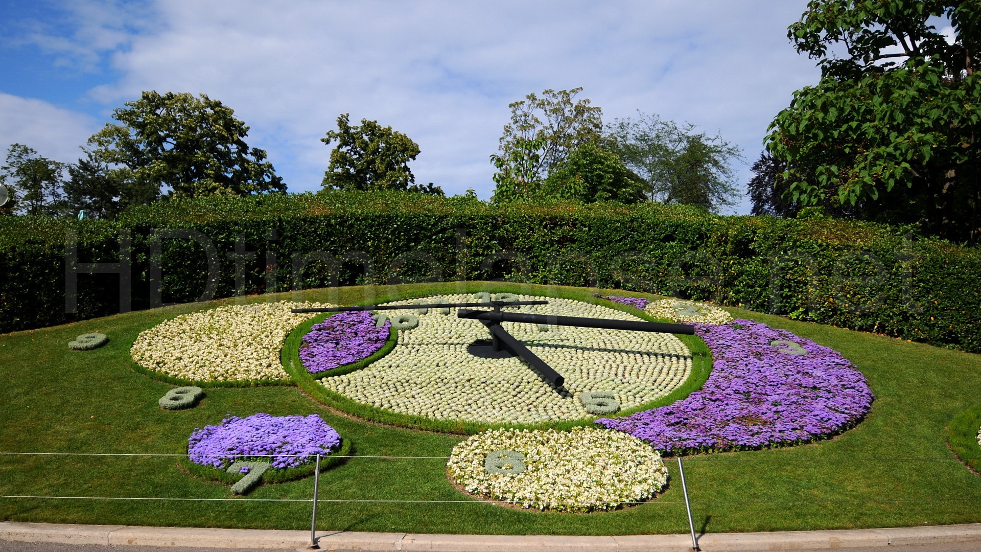 Цветочные часы растений. Ботанический сад Упсала. Швеция Упсала университет Ботанический сад.