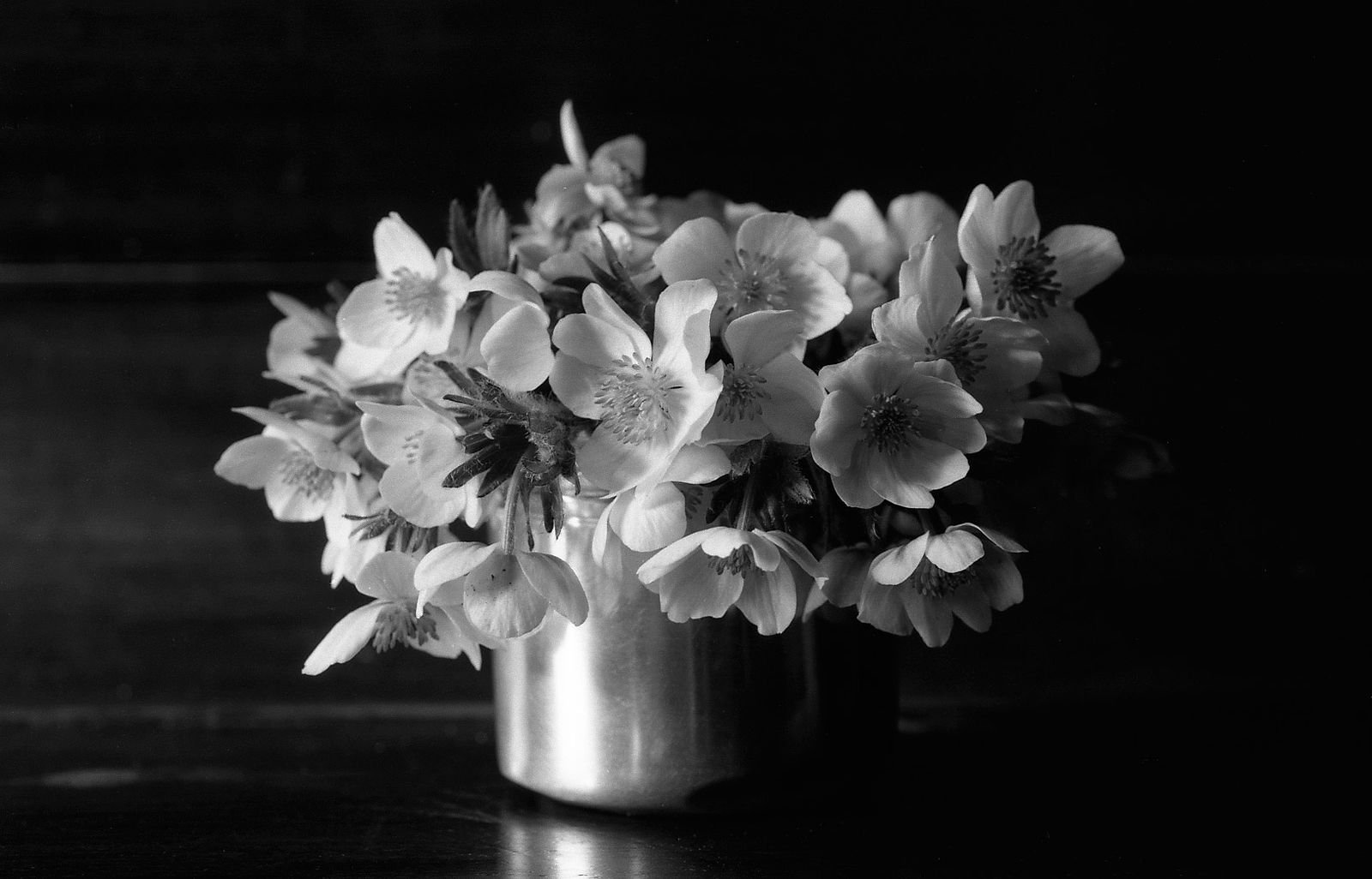 Фото цветы черно белое фото