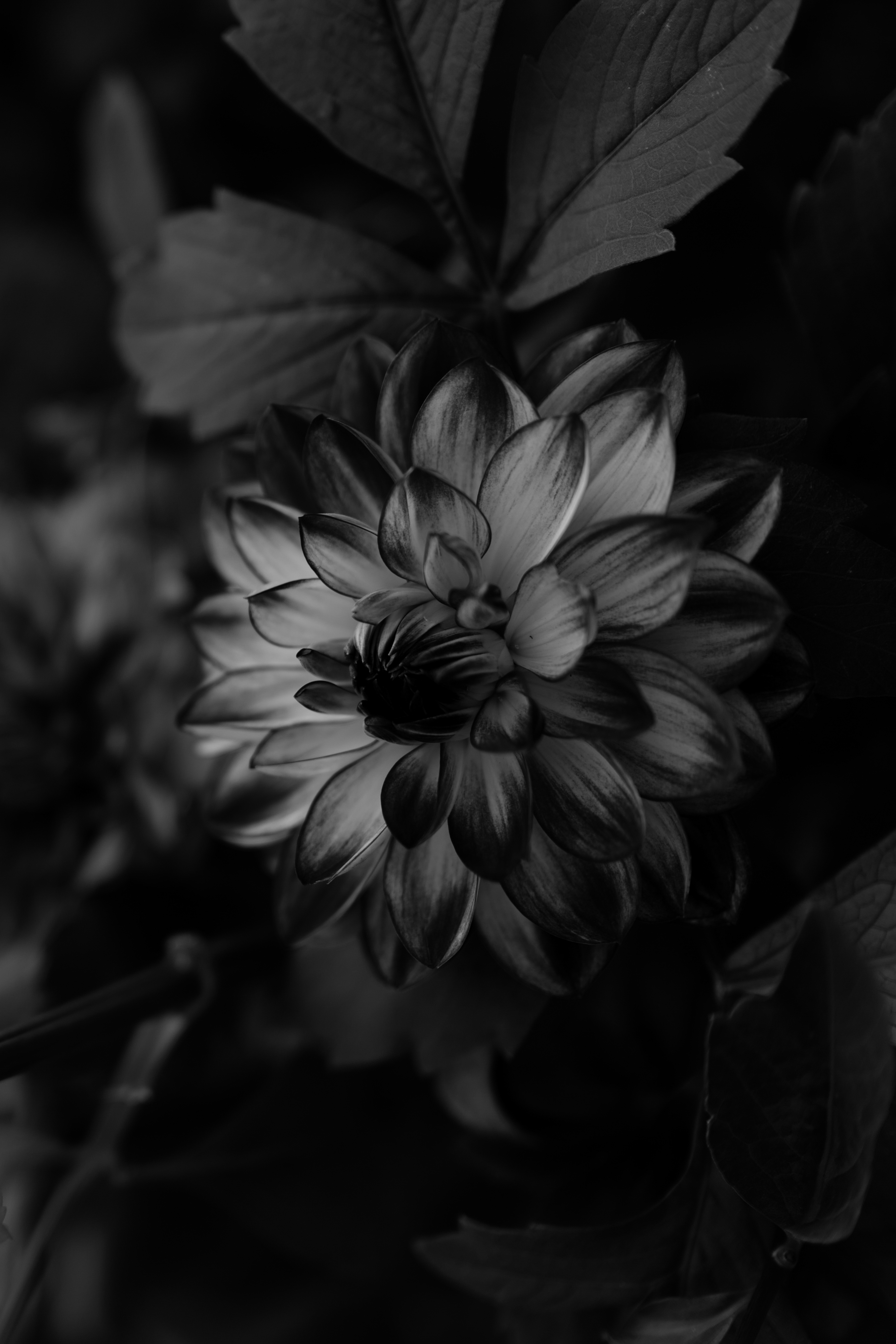 Добавить цвет на черно белое фото онлайн
