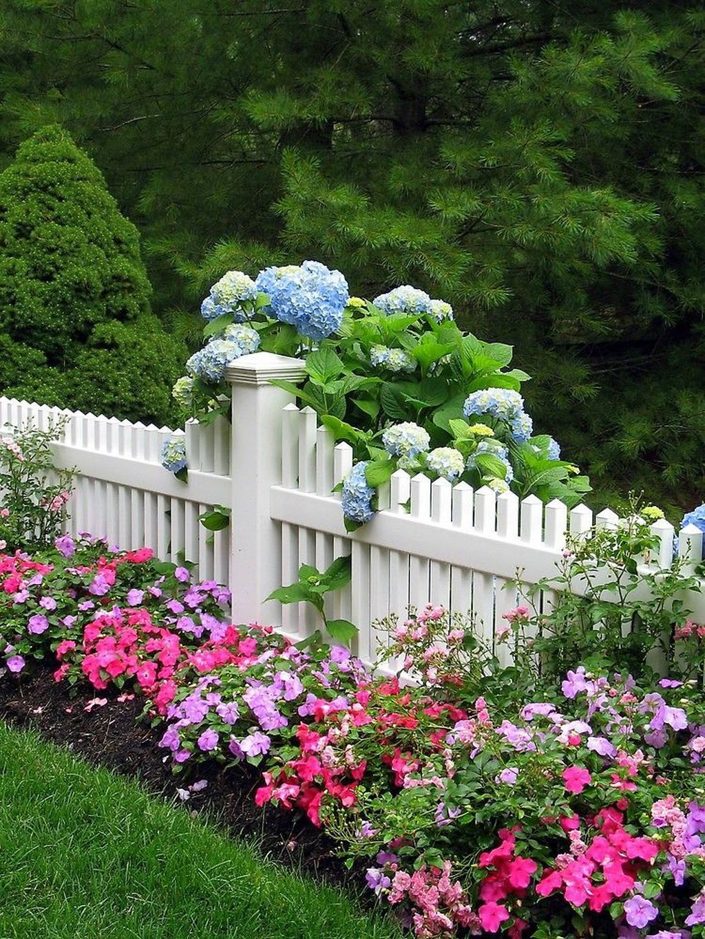 Цветы для сада и огорода фото