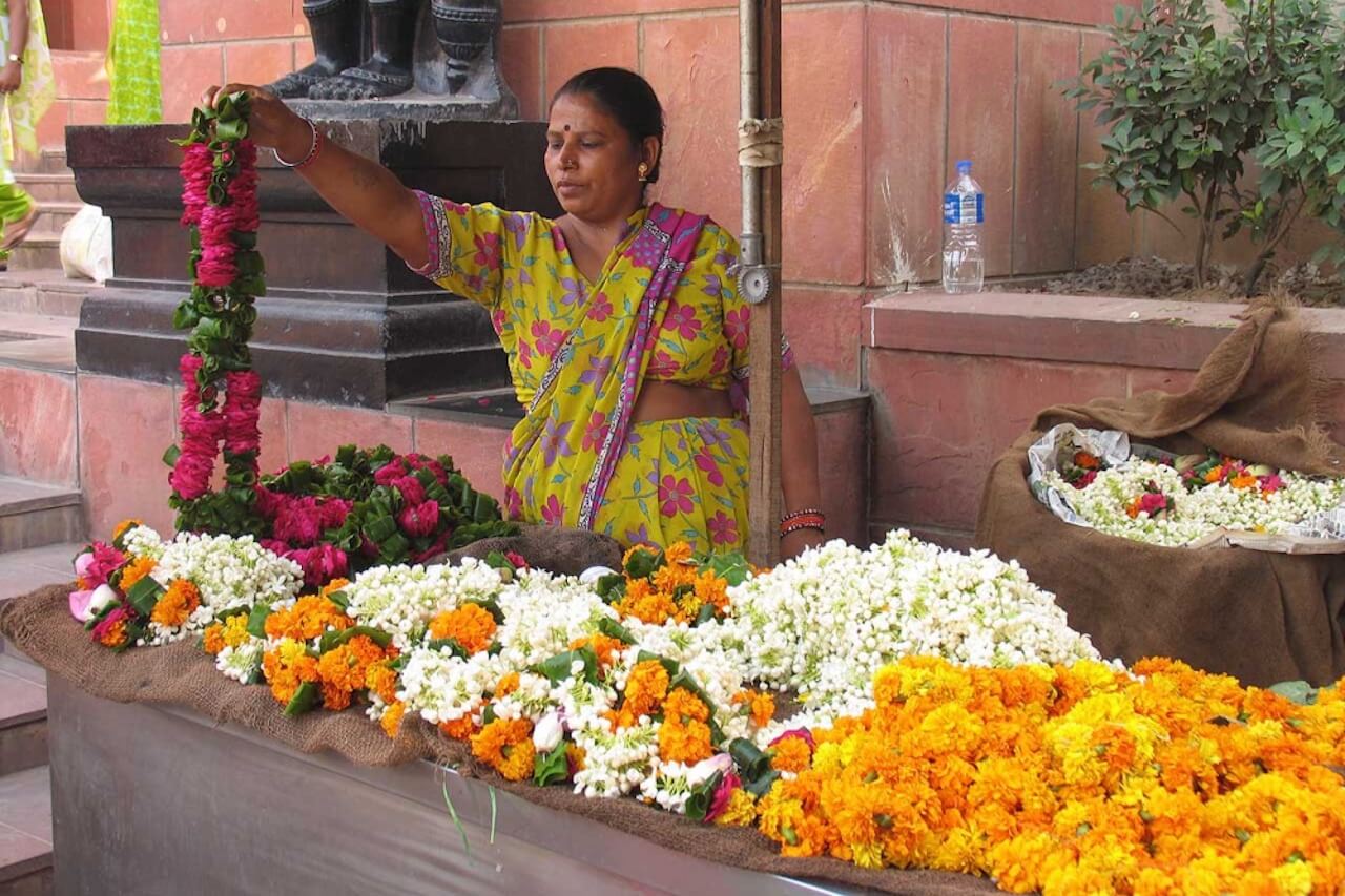 Цветок индии