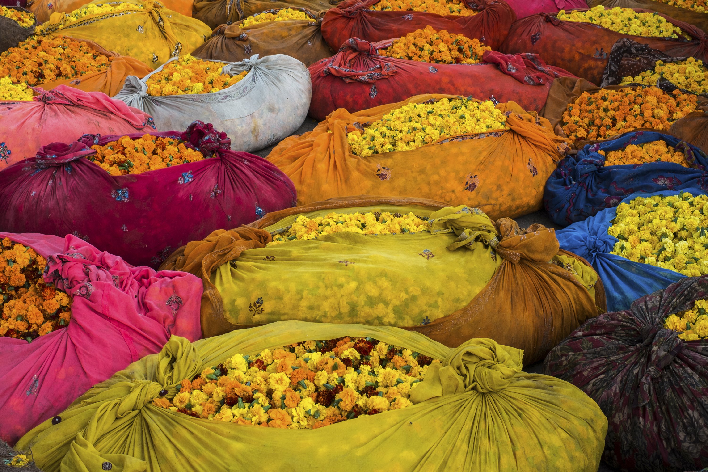 Какого цвета индия. Нац растения Индии. Индийские цветы. Желтые цветы Индии. Индийский базар.