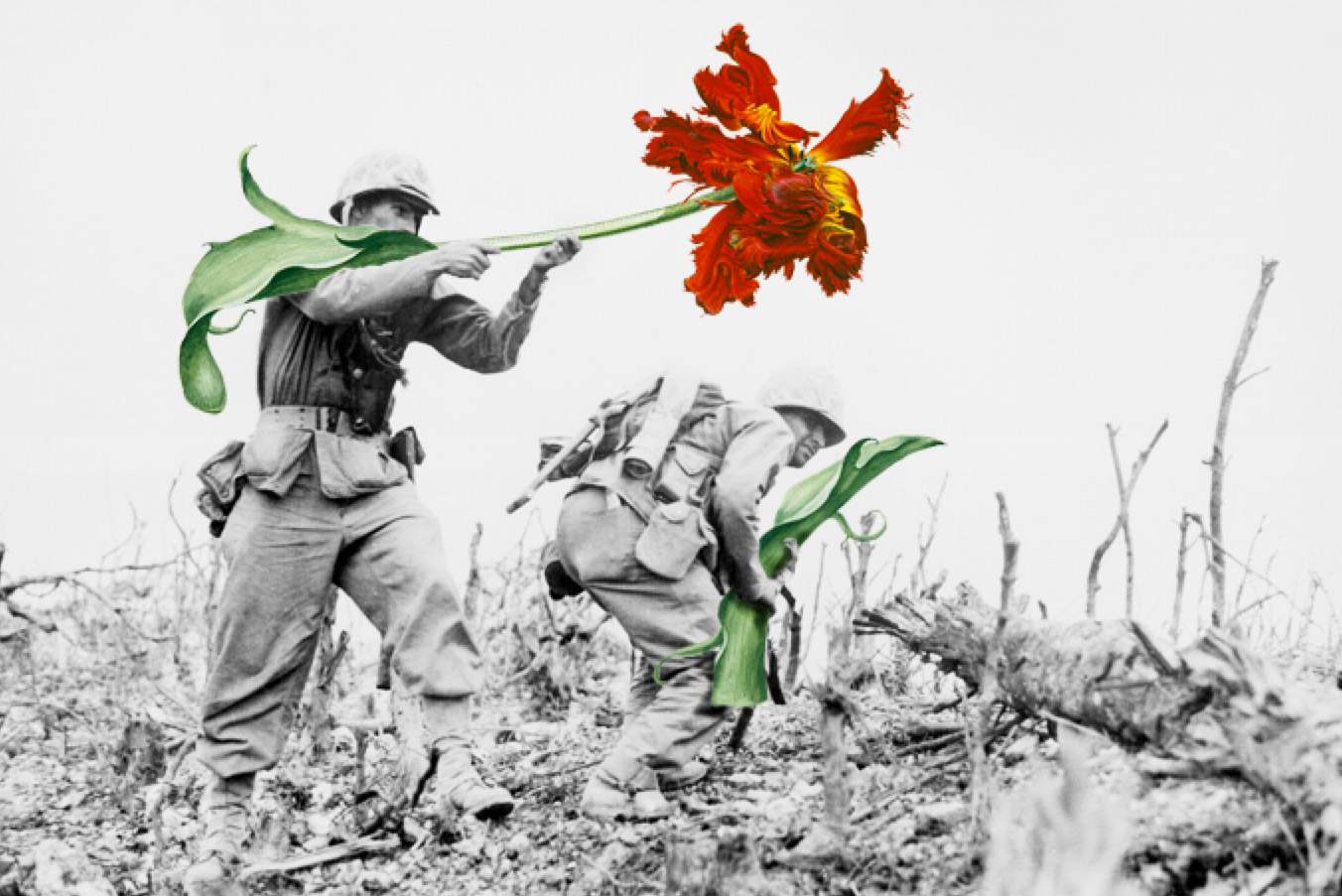 Солдат с цветами