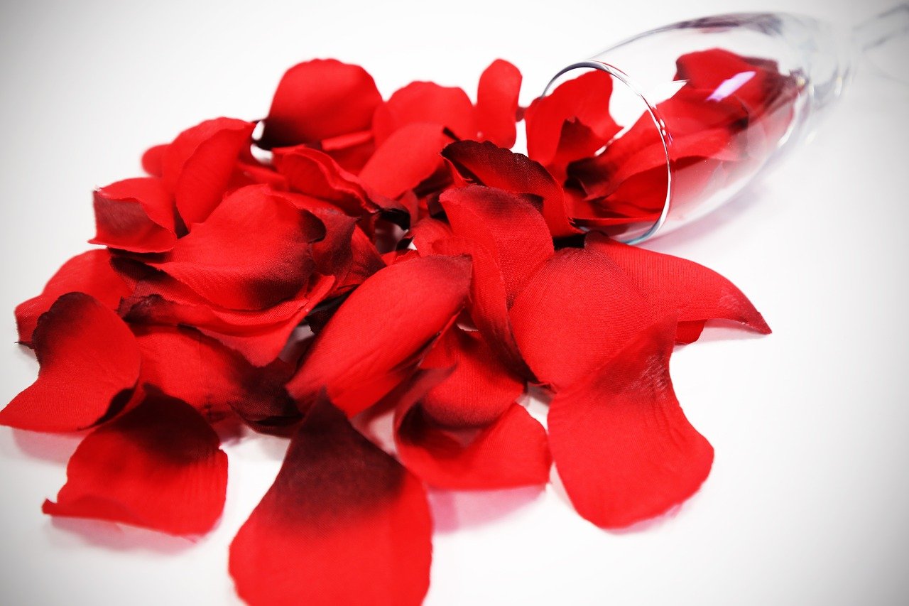 Лепестками розового красного. Лепестки роз. Лепестки красных роз. Красный лепесток. Цветок с красными лепестками.