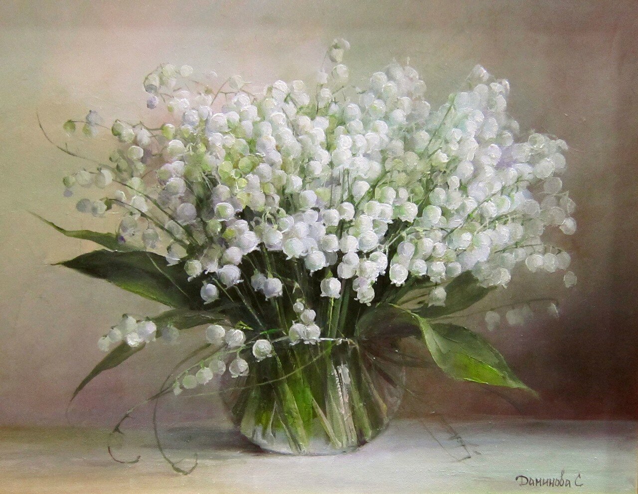 Цветы Стелла Даминова
