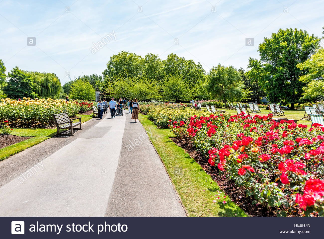 St. Regent’s Park Sovereign Mary’s Rose Gardens