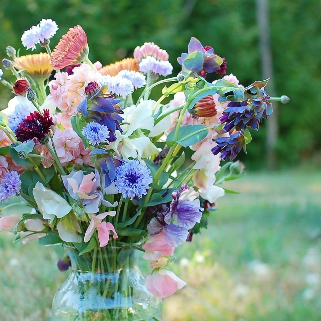 Красивые букеты цветов из полевых цветов фото