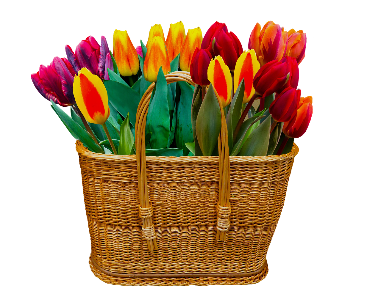 Тюльпаны в корзине картинки. Корзинка с тюльпанами. Букет тюльпанов. Корзина цветов «Весенняя». Корзина с весенними цветами.