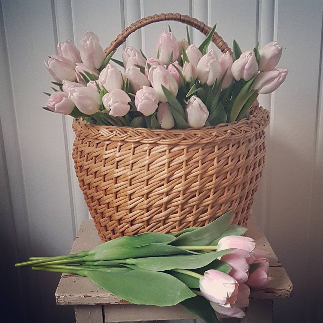 Тюльпаны в корзине картинки. Корзина с тюльпанами. Букет тюльпанов. Красивый весенний букет. Шикарная корзина тюльпанов.