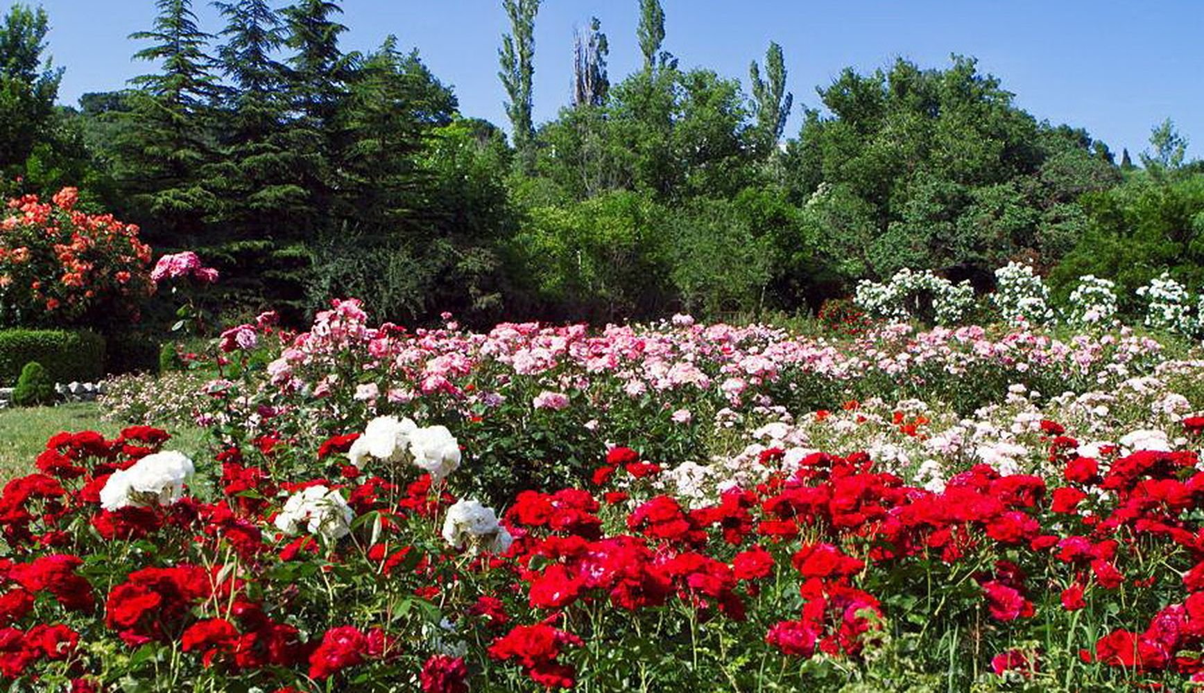 Ботанический сад Варна