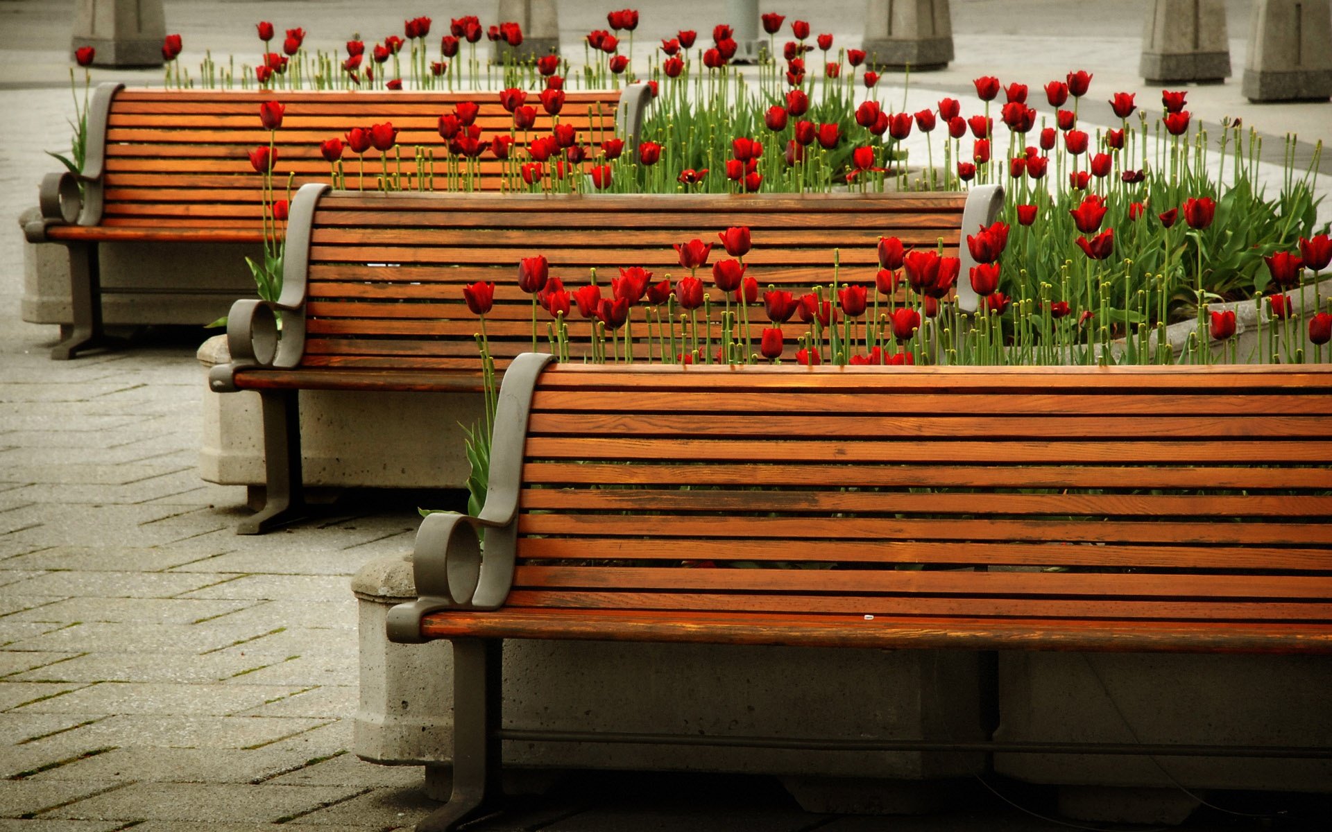 Красивые скамейки в парках