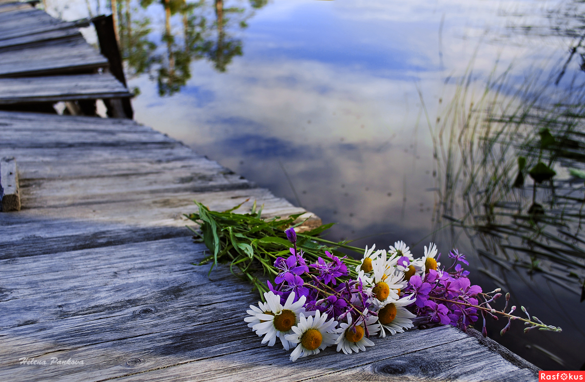 Буду помнить это лето. Букет цветов на скамейке. Букет полевых цветов на скамейке. Озеро цветы. Полевые цветы лежат на столе.