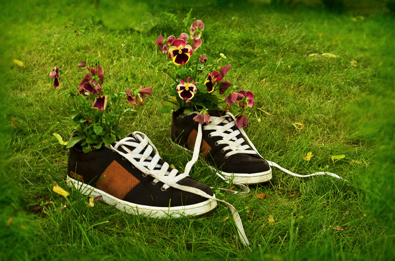 Цветы в кроссовках