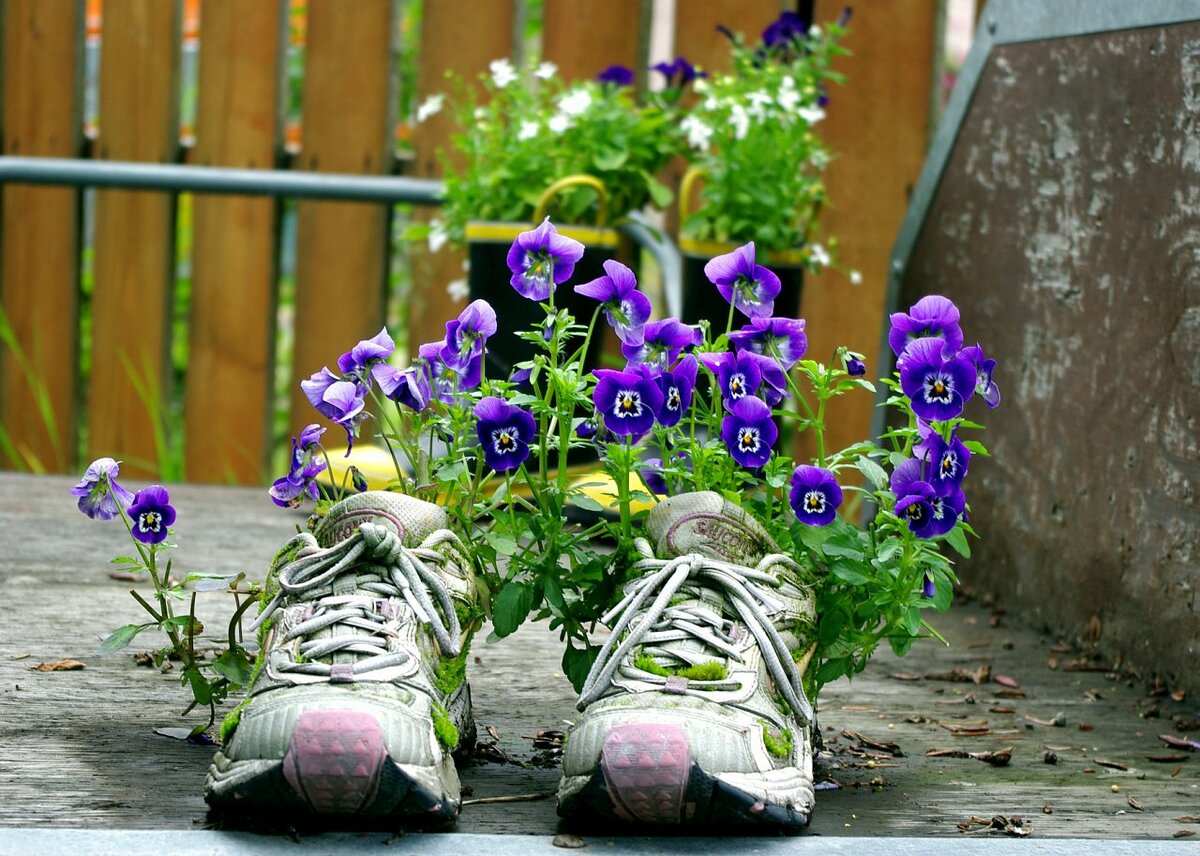 Цветы в кроссовках