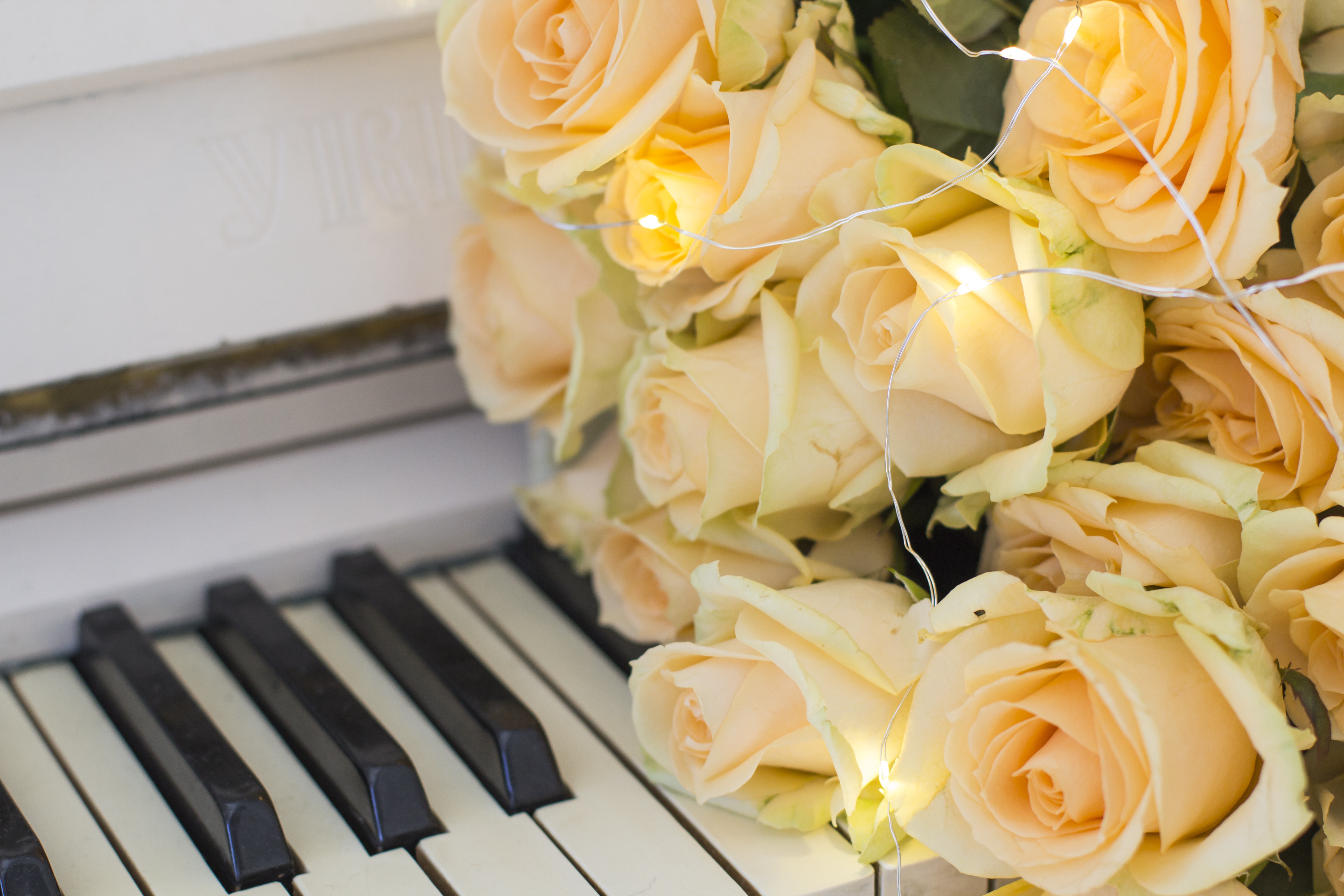 Песни розовый букет. Пианино с цветами. Белый рояль с цветами. Цветы на рояле. Фортепиано и цветы.