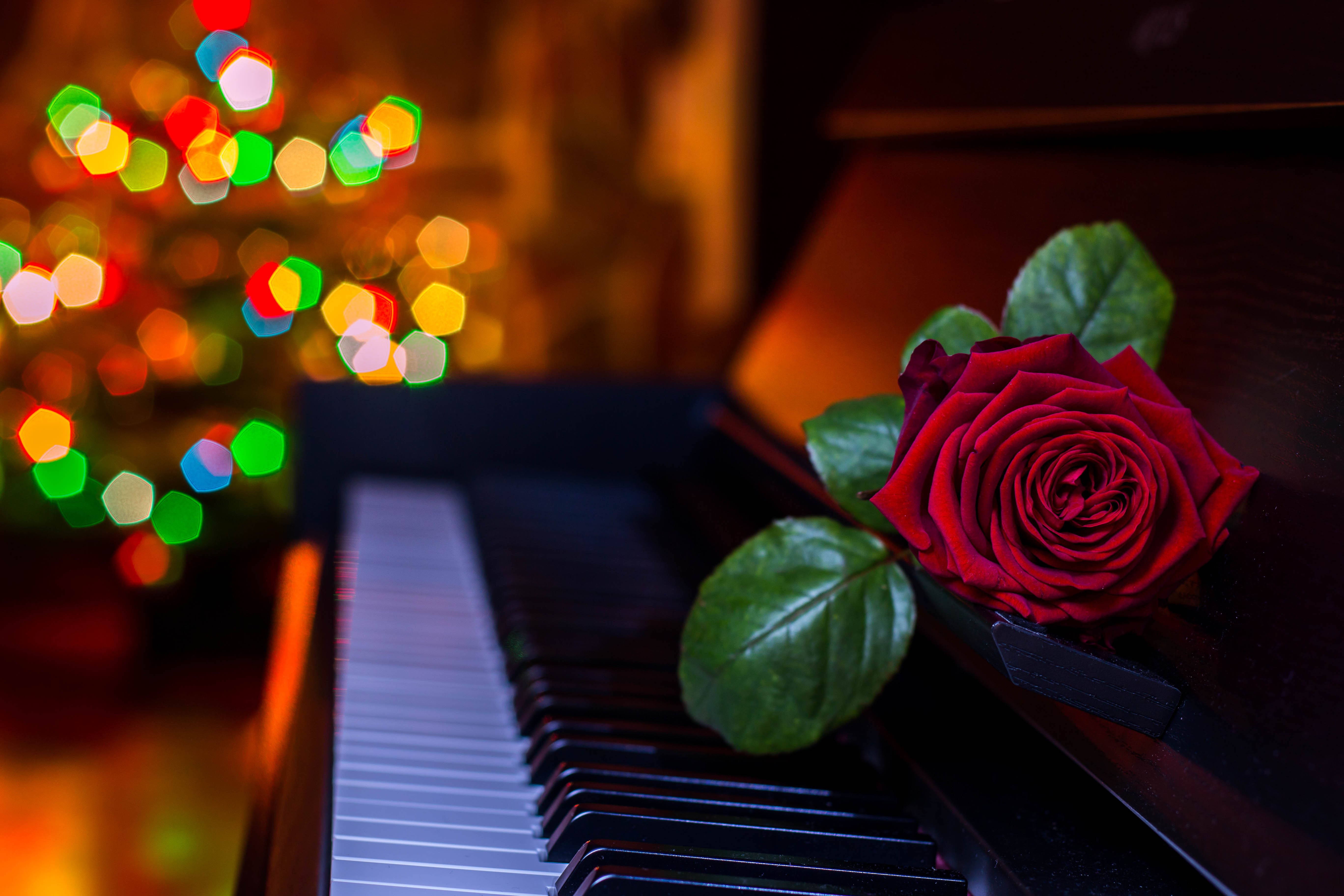 Включи песню цветы. Рояль с цветами. Пианино с цветами. Пианино красиво. Цветы на рояле.