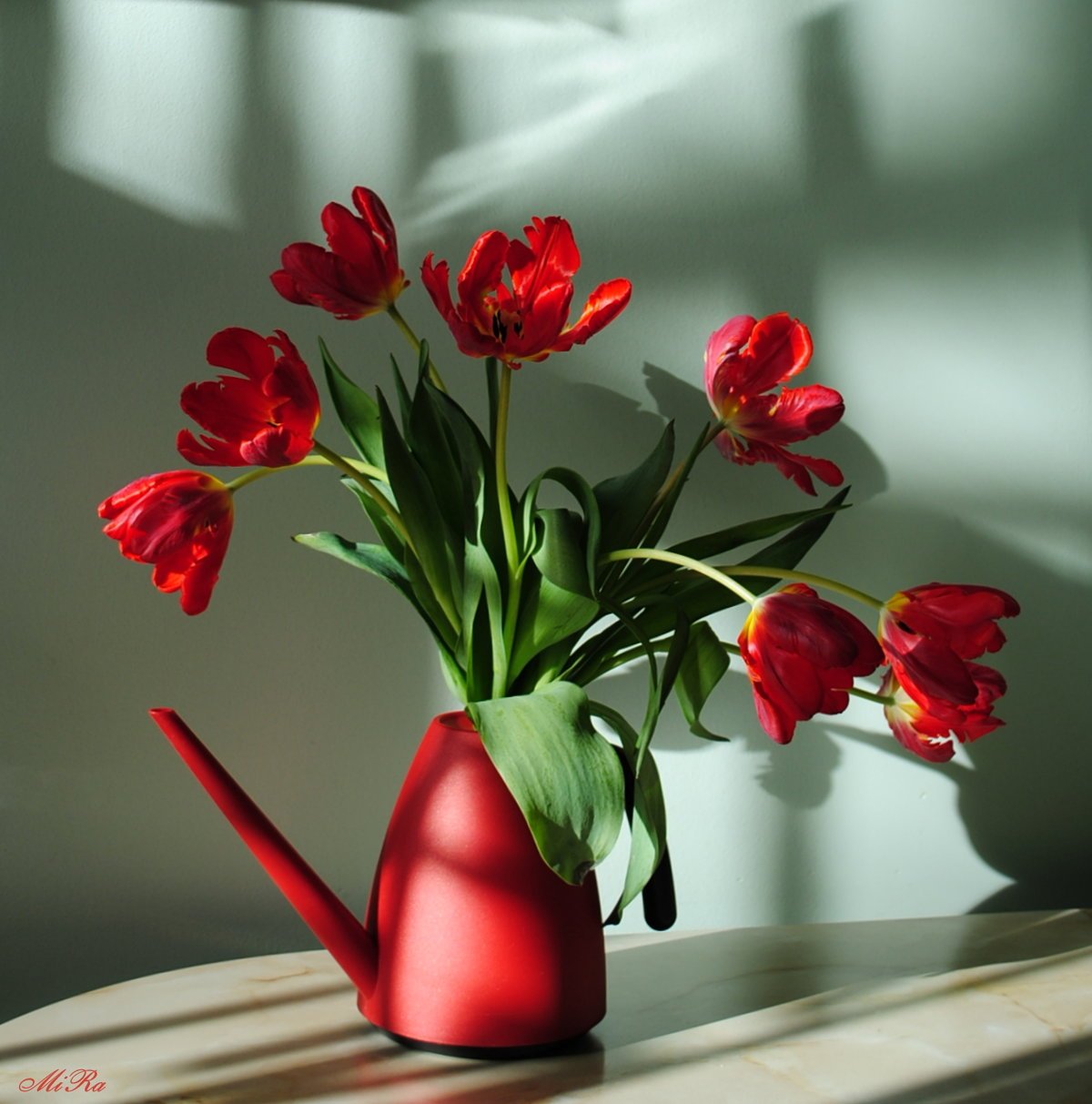 Букет красных тюльпанов в вазе