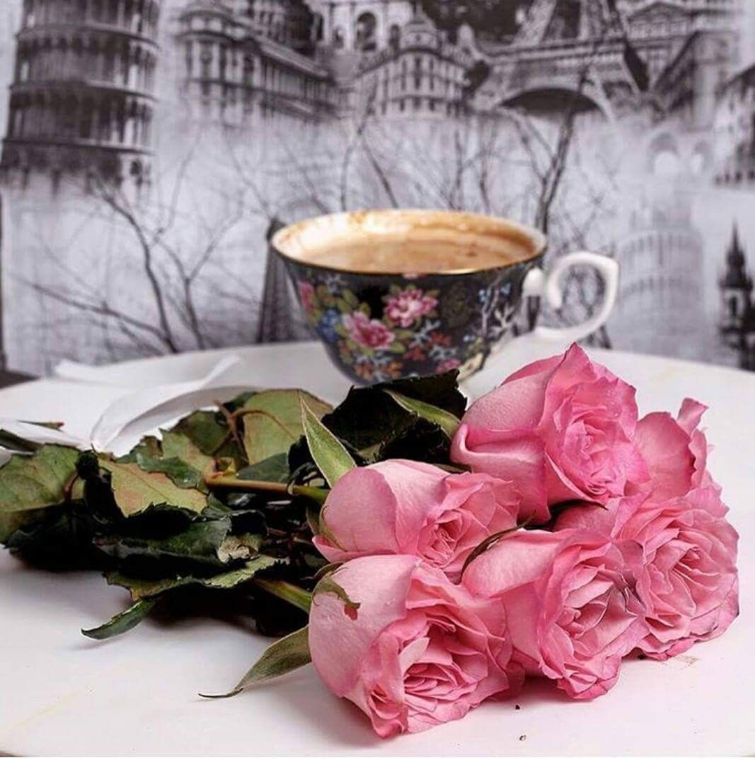 Цветы кофе и зимнее утро