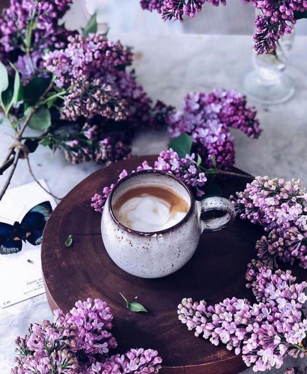 Чашка кофе и цветы гламурные фото
