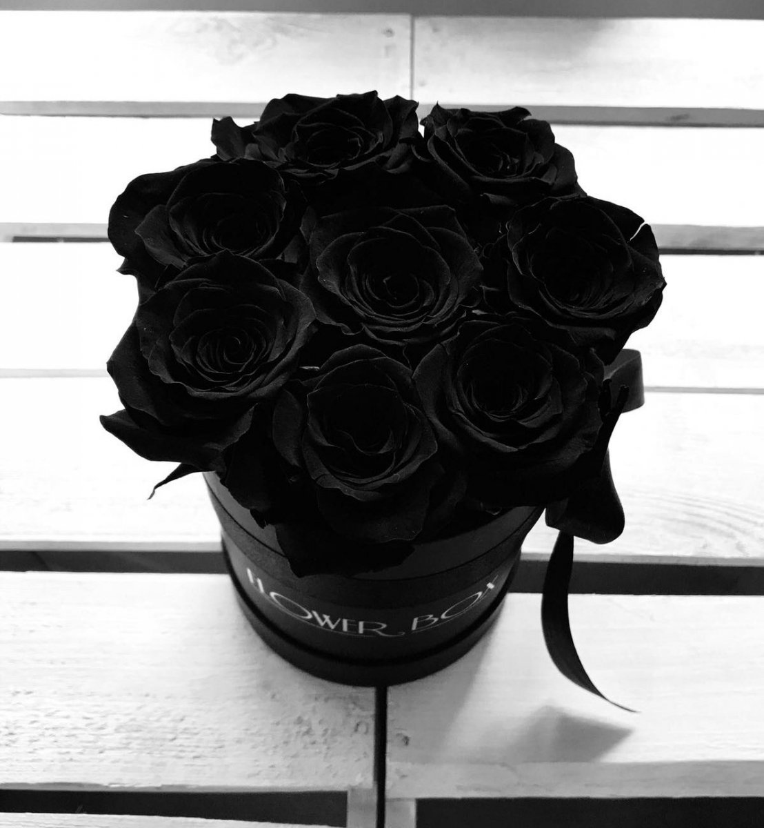 черная роза стим фото 50