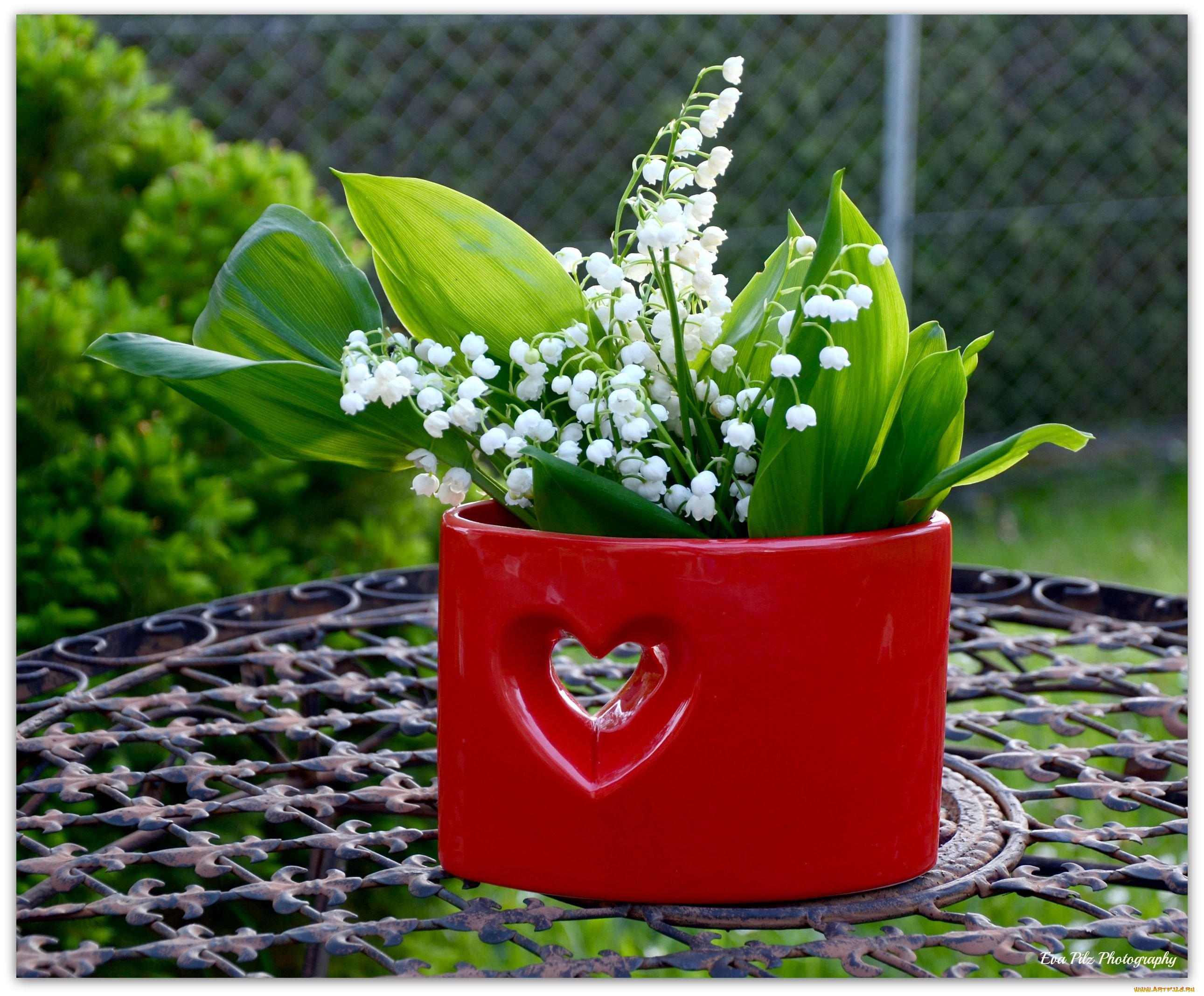 Весенние цветы картинки красивые с добрым утром. Букет ландышей. Весенний букет. Ландыши в саду. Красивый весенний букет.