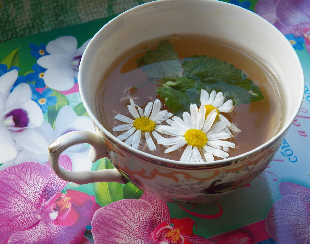 Ромашковый чай в домашних условиях. Чай "Ромашка". Чай из ромашки. Травяной чай из ромашки. Чай с мятой.