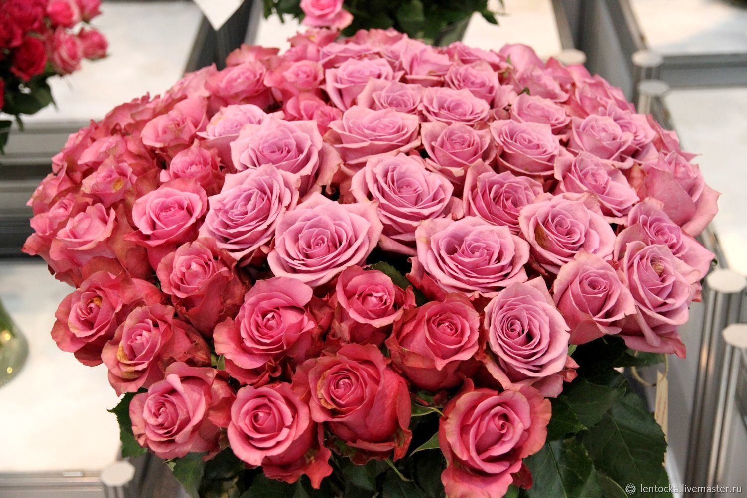 Монобукет розы. Монобукеты из роз. Монобукет из роз фото. Где в Барнауле можно купить живые розы очень красивые фото. Сколько стоят живые розы