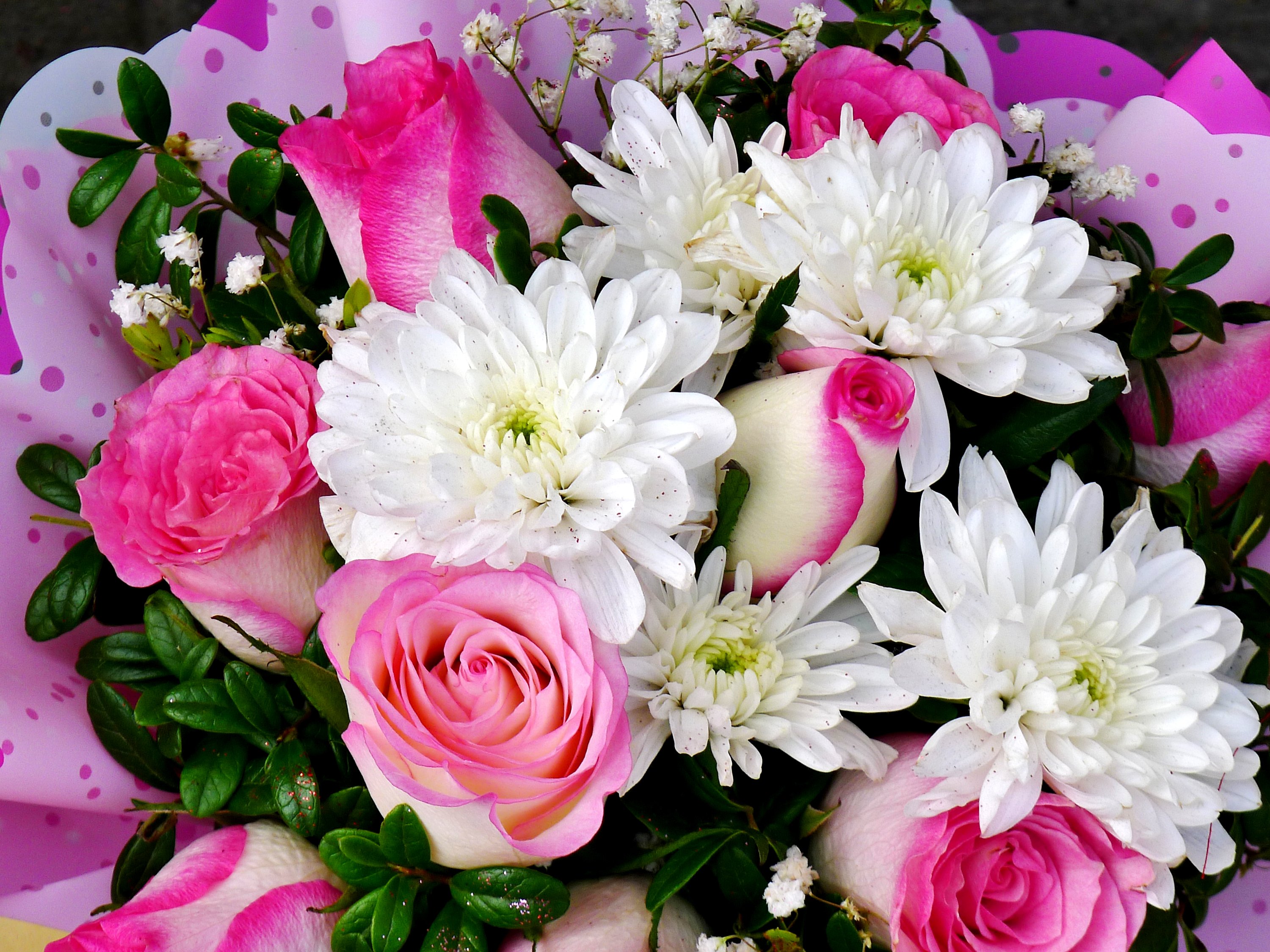 цветы картинки самые красивые букеты хризантем