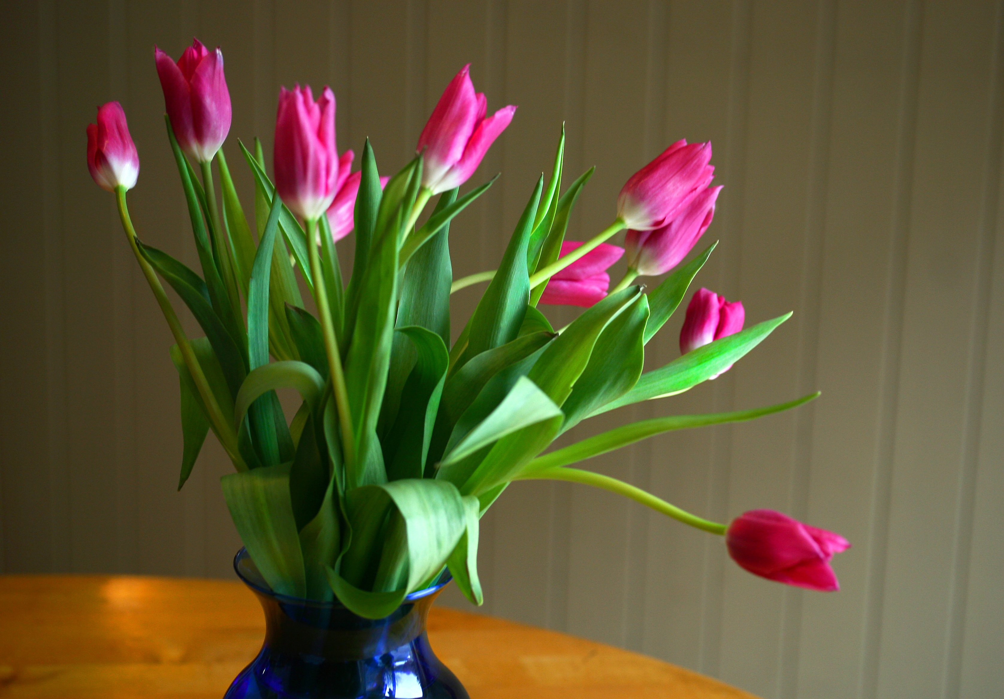 Как сохранить свежие тюльпаны в вазе. Букет тюльпанов. Букет тюльпанов в вазе. Тюльпаны в вазах. Стол тюльпан.