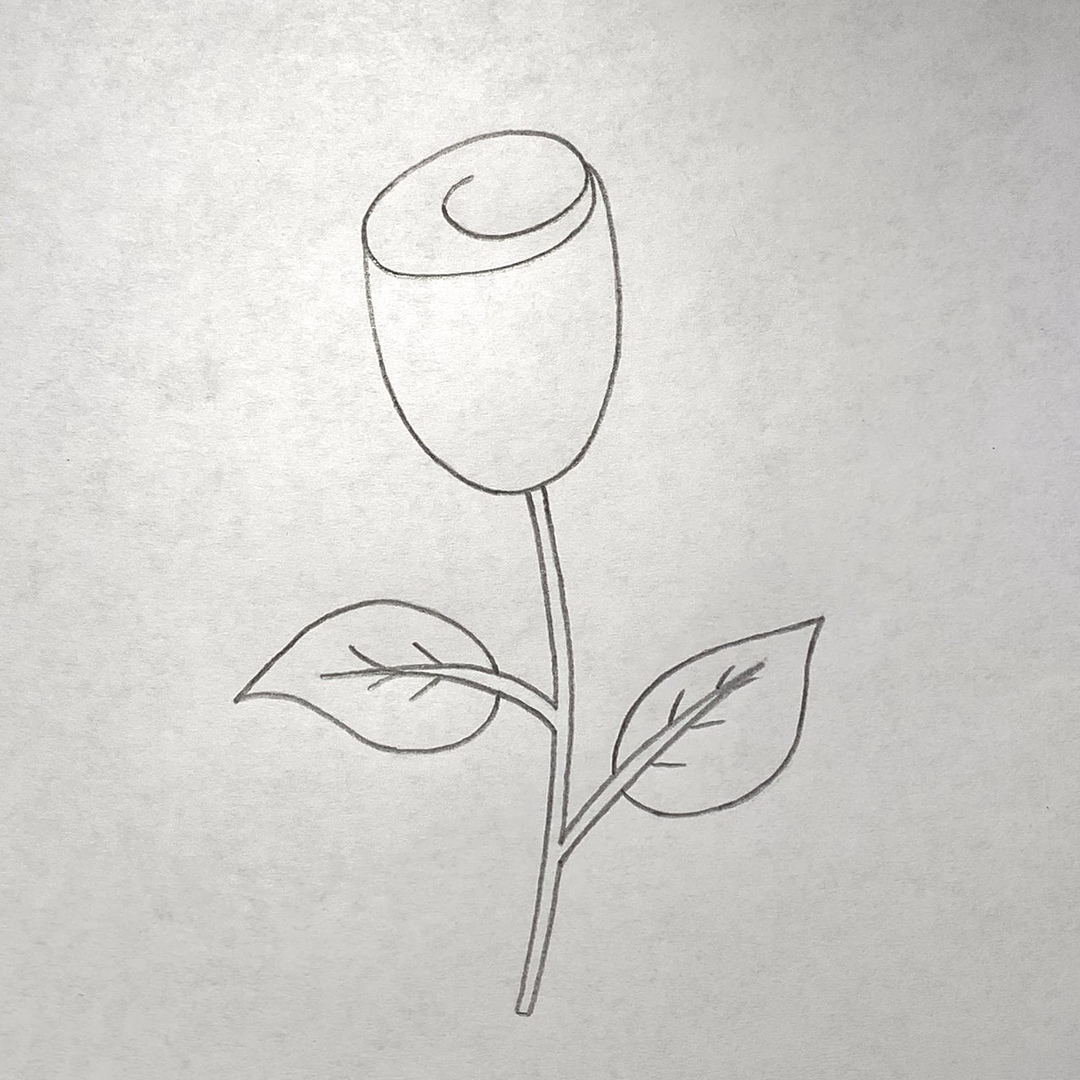 Розы в вазе карандашом просто и легко
