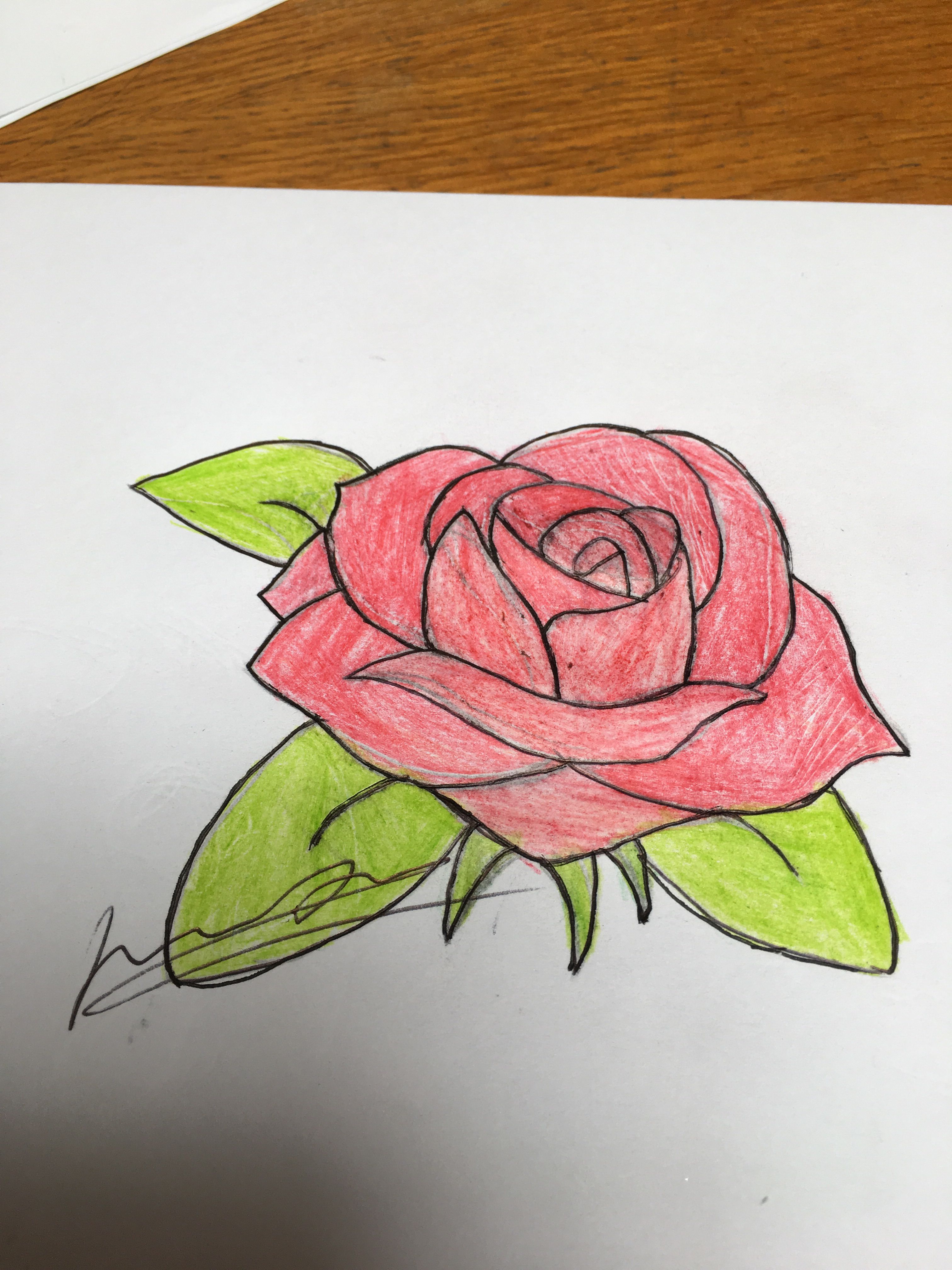 Очень красивые рисунки роз