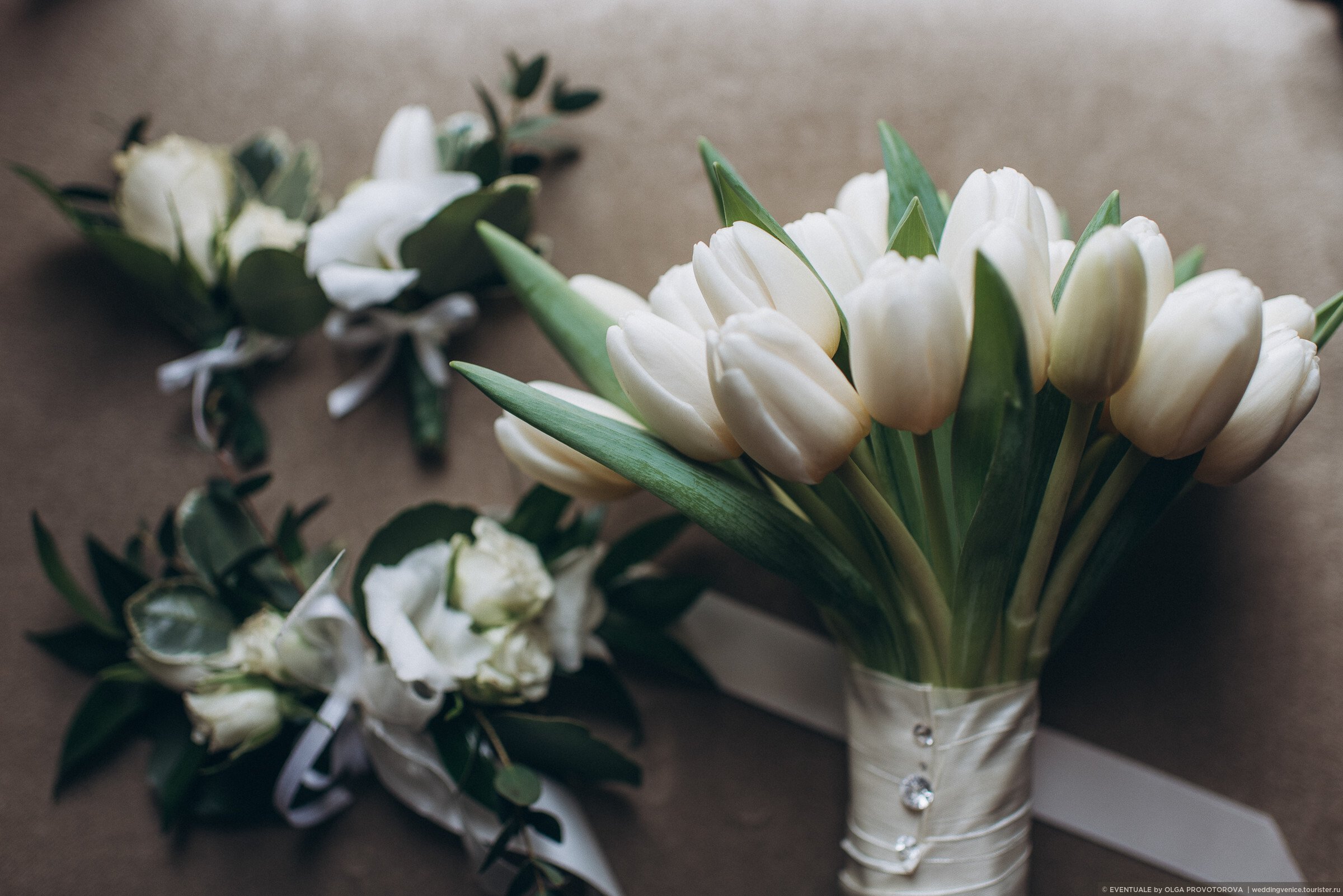 Белые тюльпаны букет Эстетика