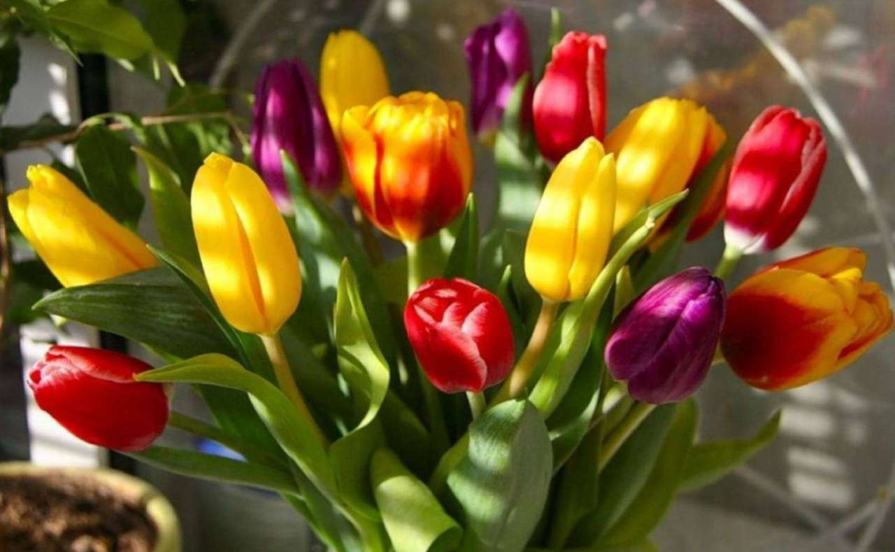 Букет тюльпанов на 8 марта фото дома